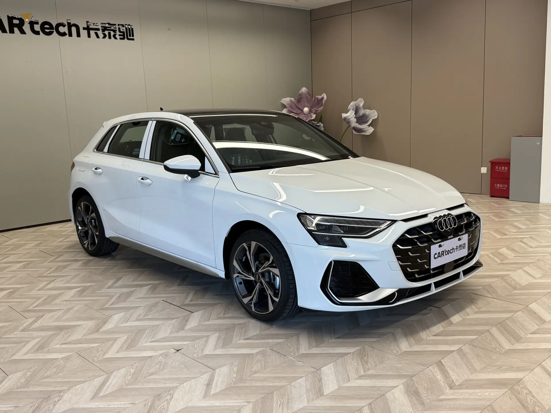 Audi Flying Spur, 2024 2