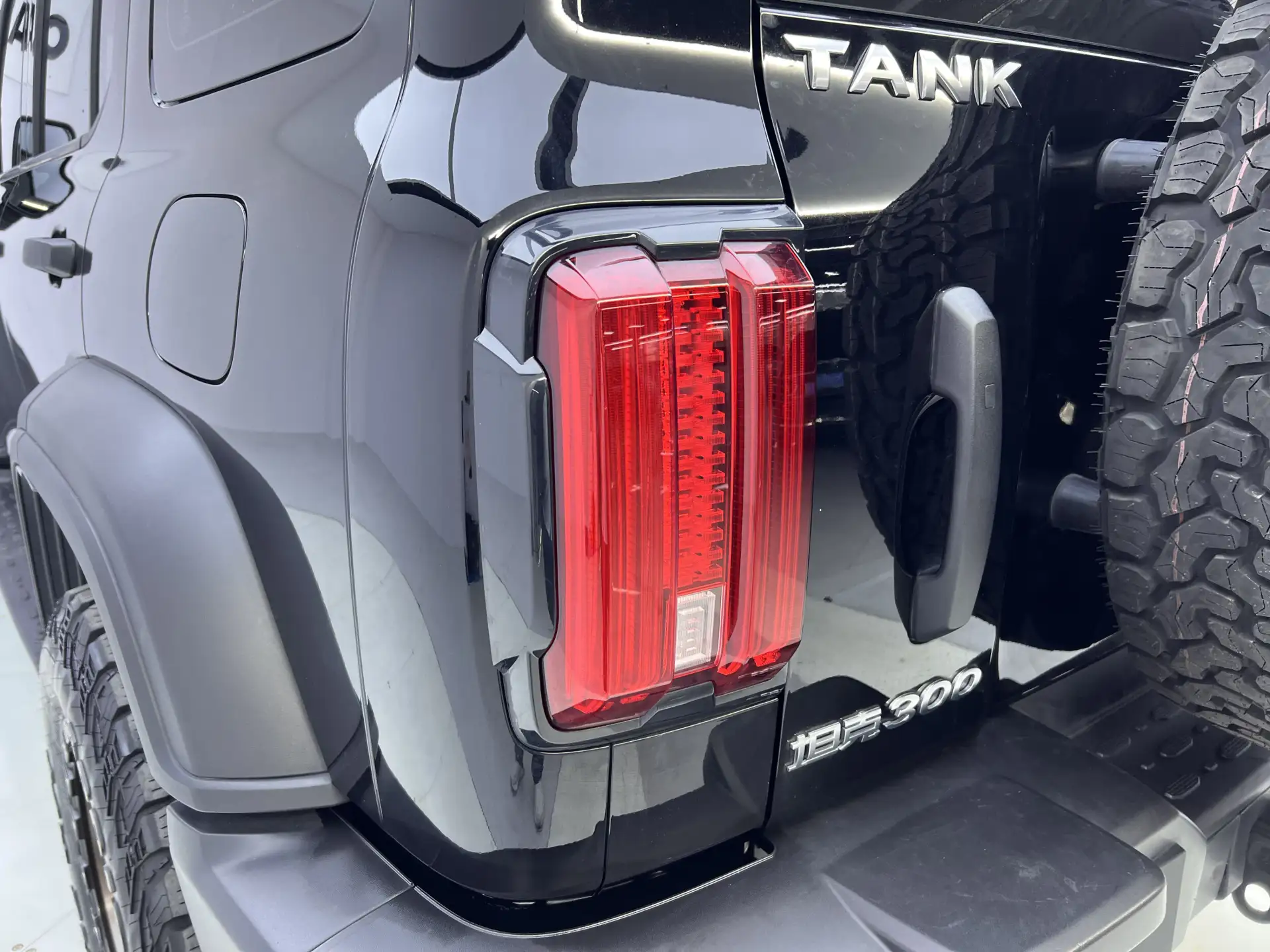 Tank 300, 2023 9
