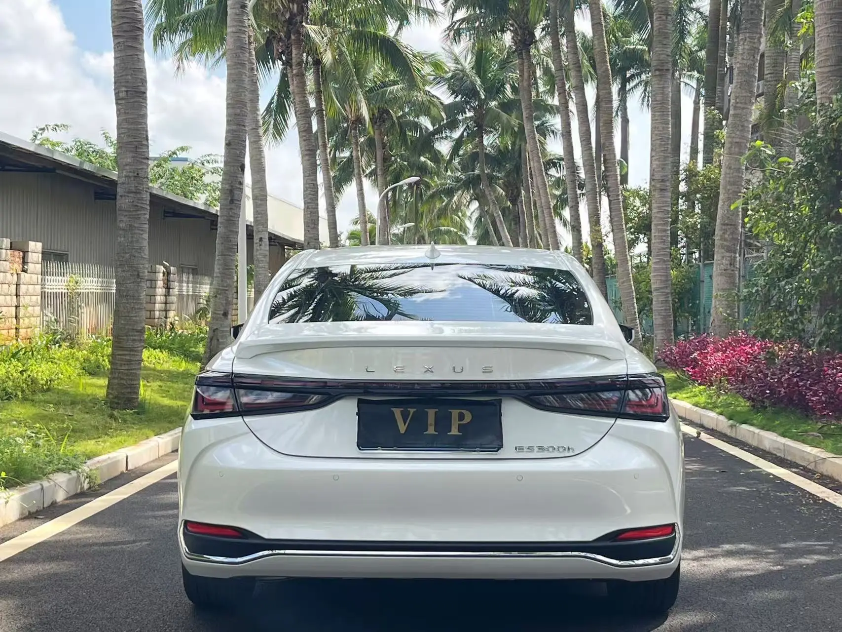 Lexus ES 300h, 2025 все фото