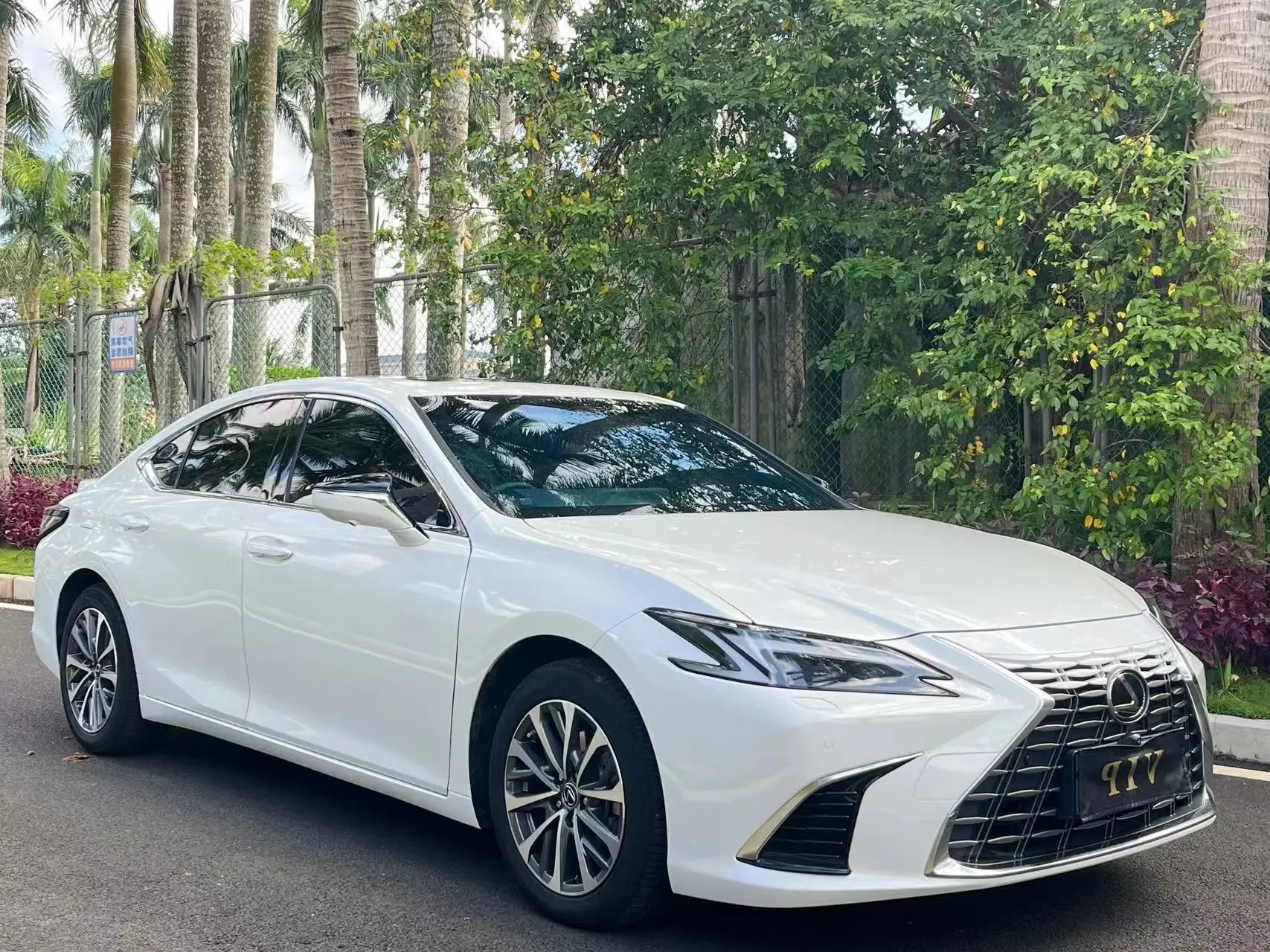 Lexus ES 300h, 2025 2