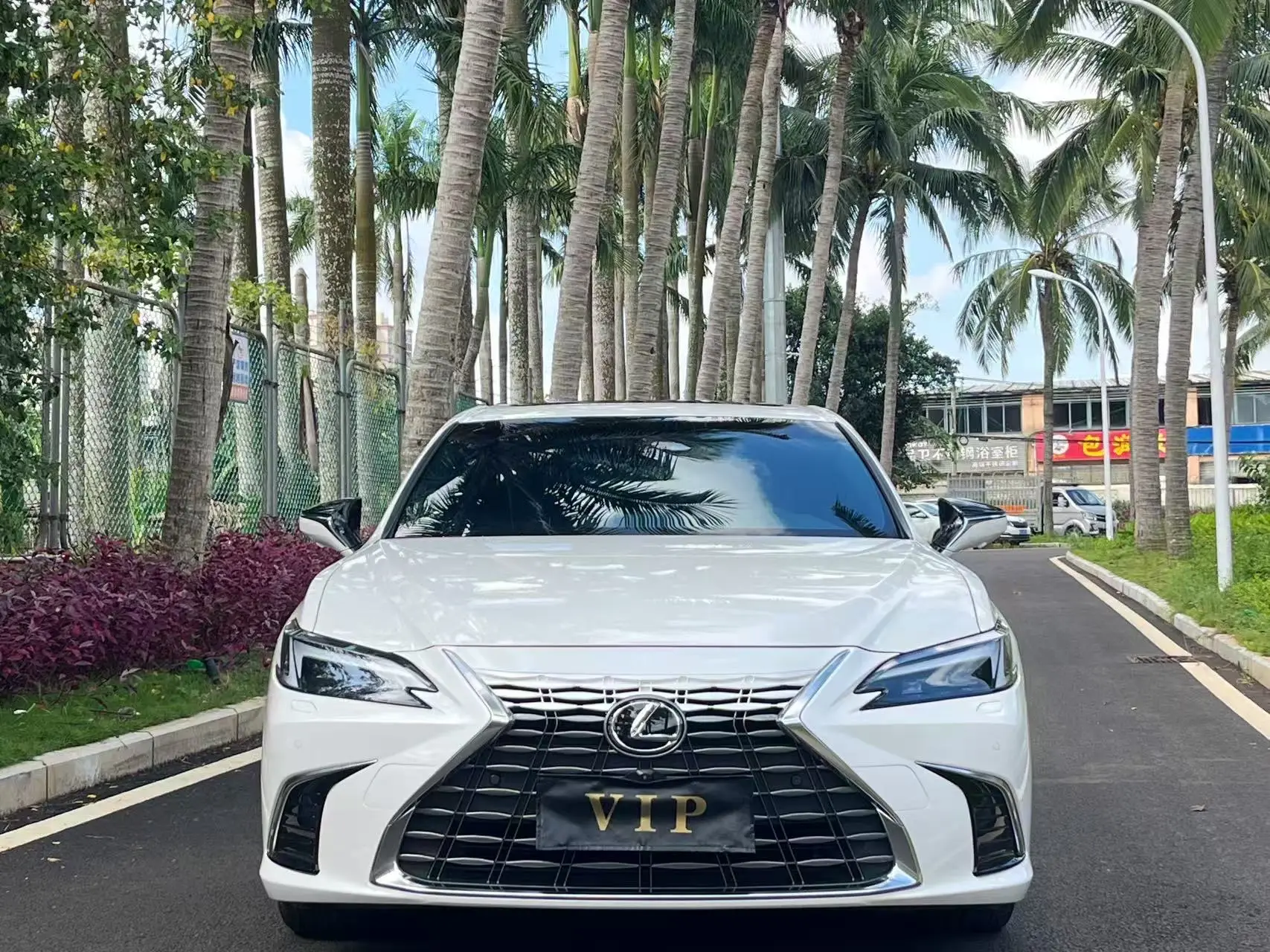 Lexus ES 300h, 2025 3