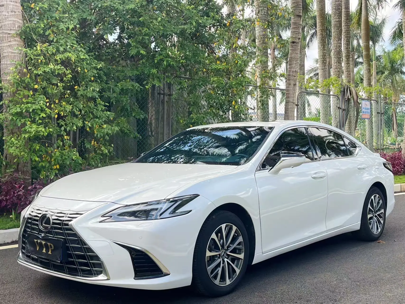 Lexus ES 300h