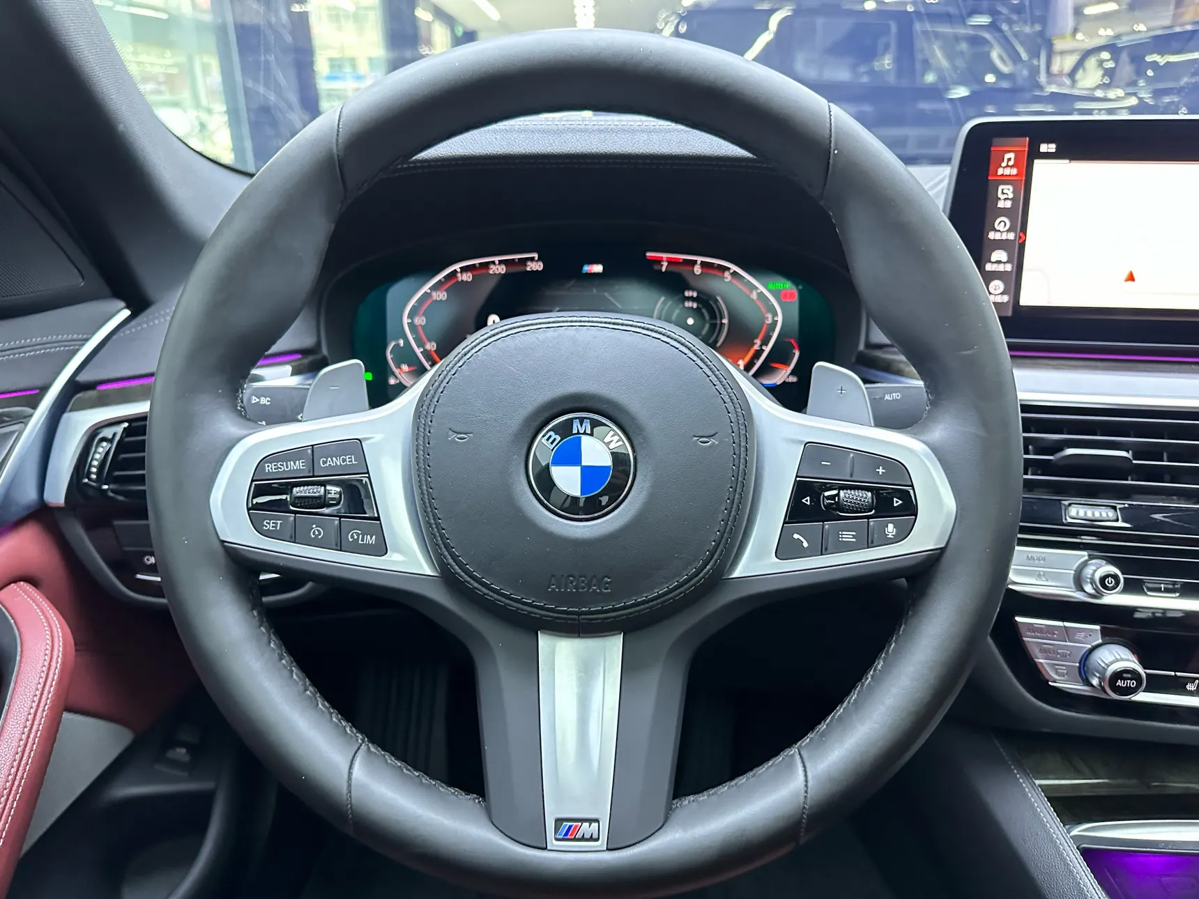 BMW 530Li, 2022 14
