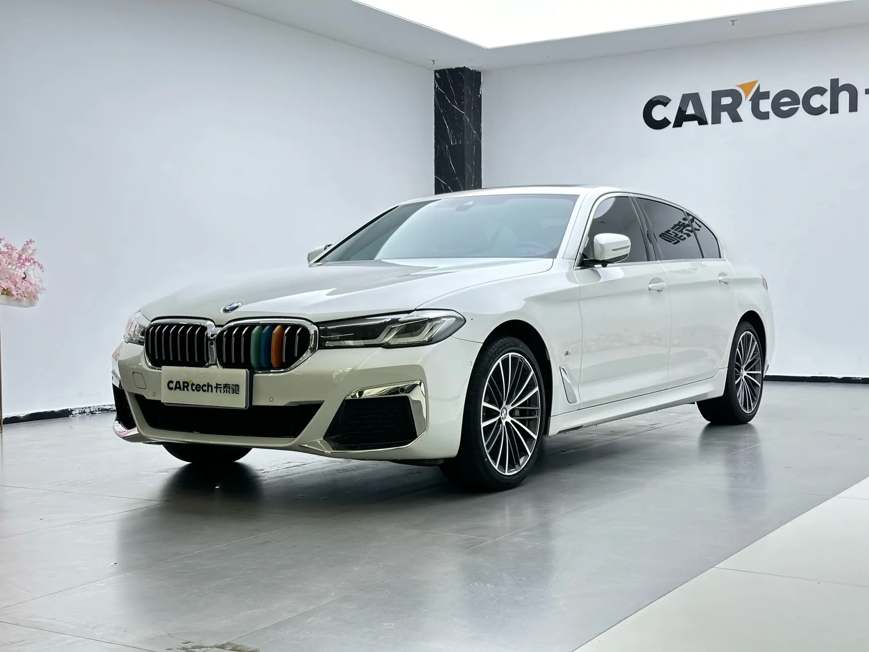 BMW 530Li, 2022 6