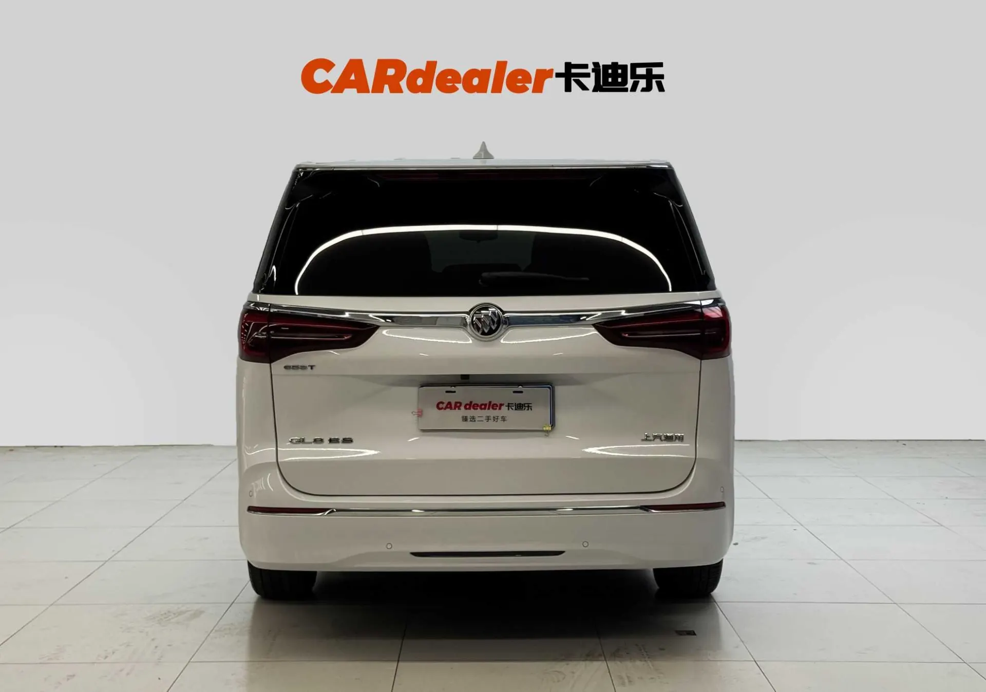 Buick GL8, 2022 все фото