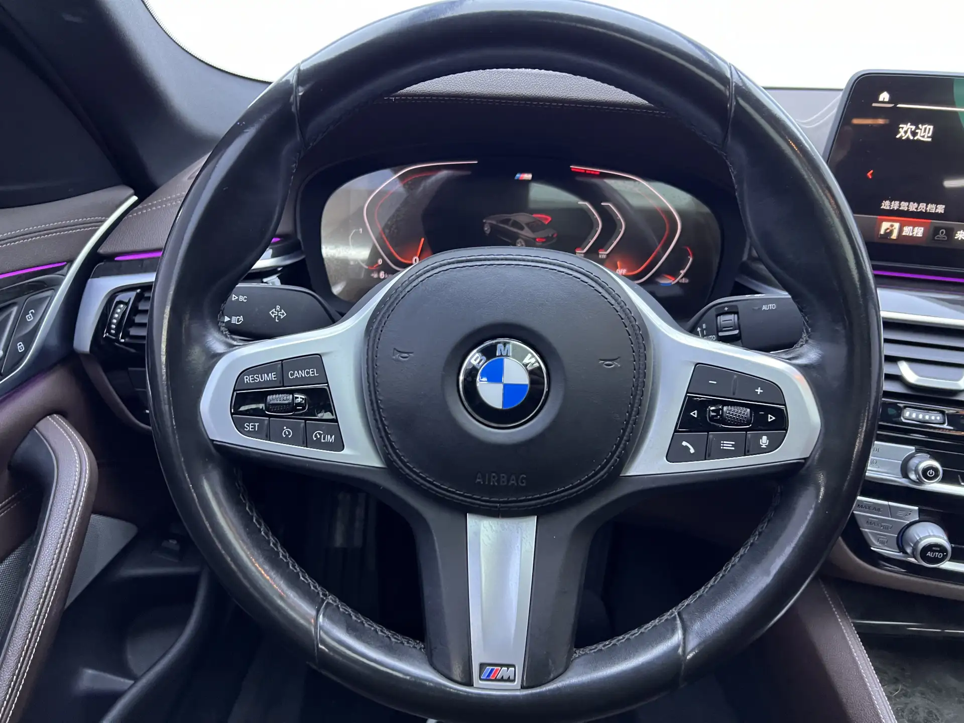 BMW 525Li, 2022 15