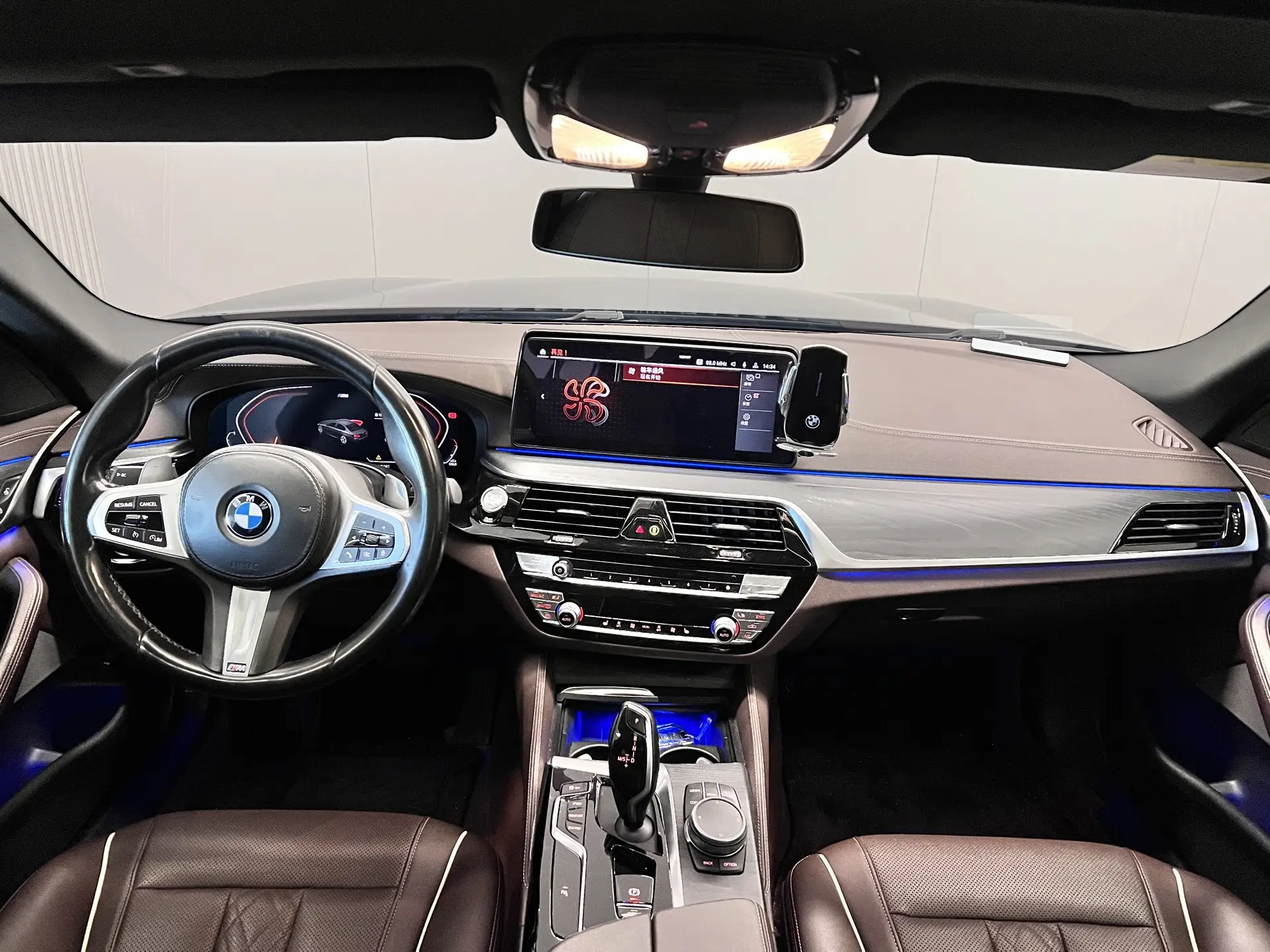 BMW 530Li, 2021 13