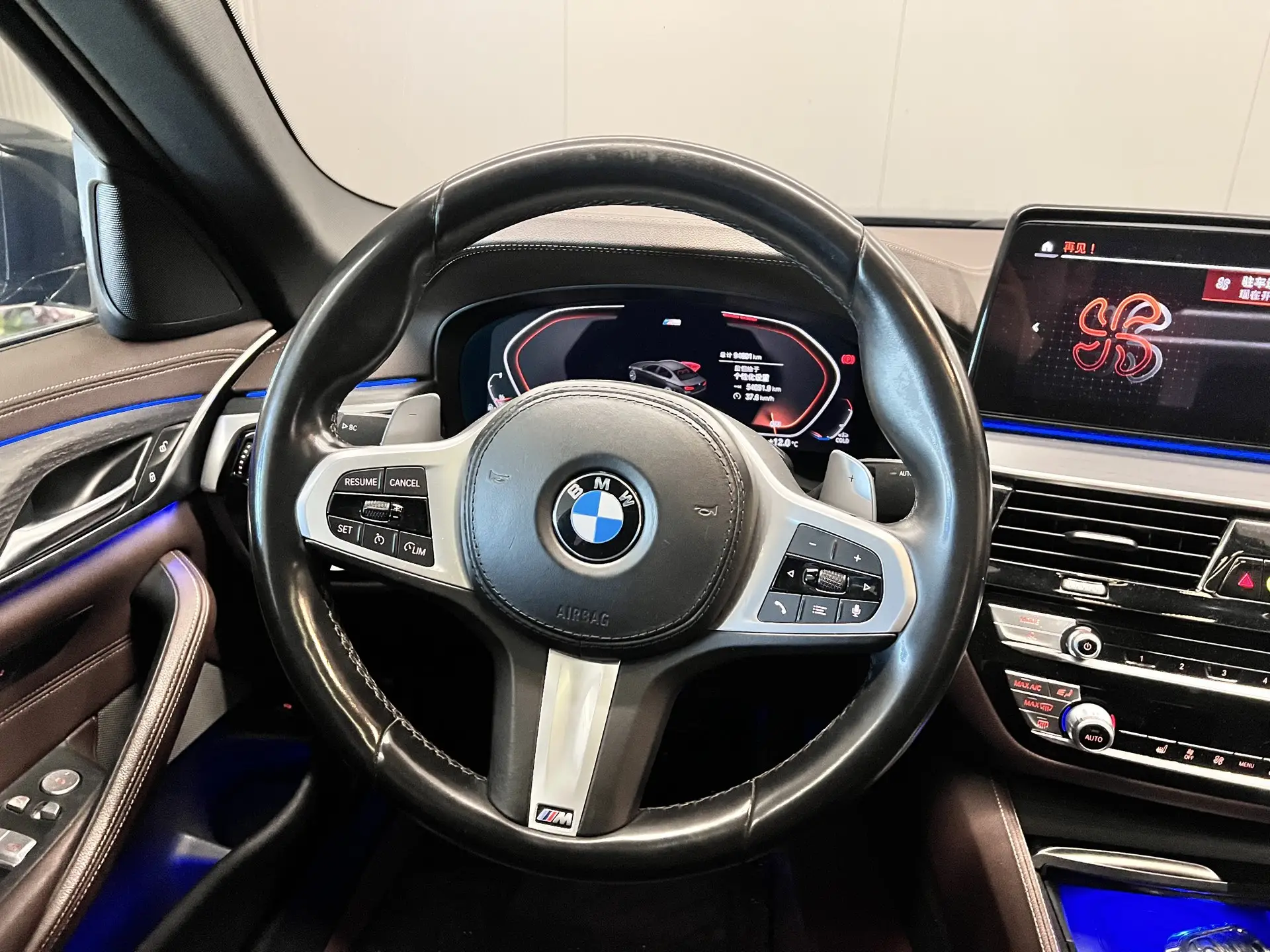 BMW 530Li, 2021 14