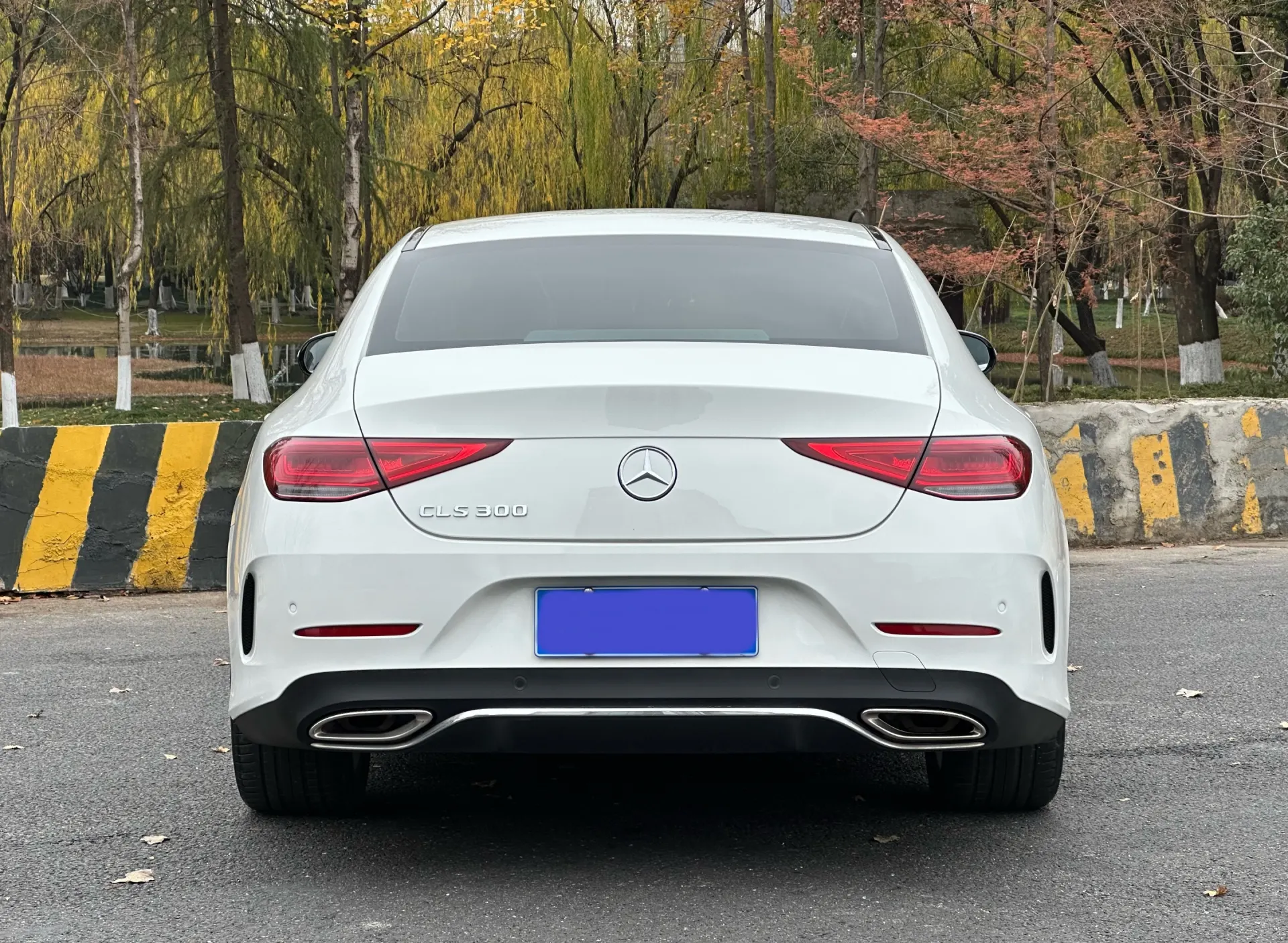 Mercedes-Benz CLS 300, 2022 все фото