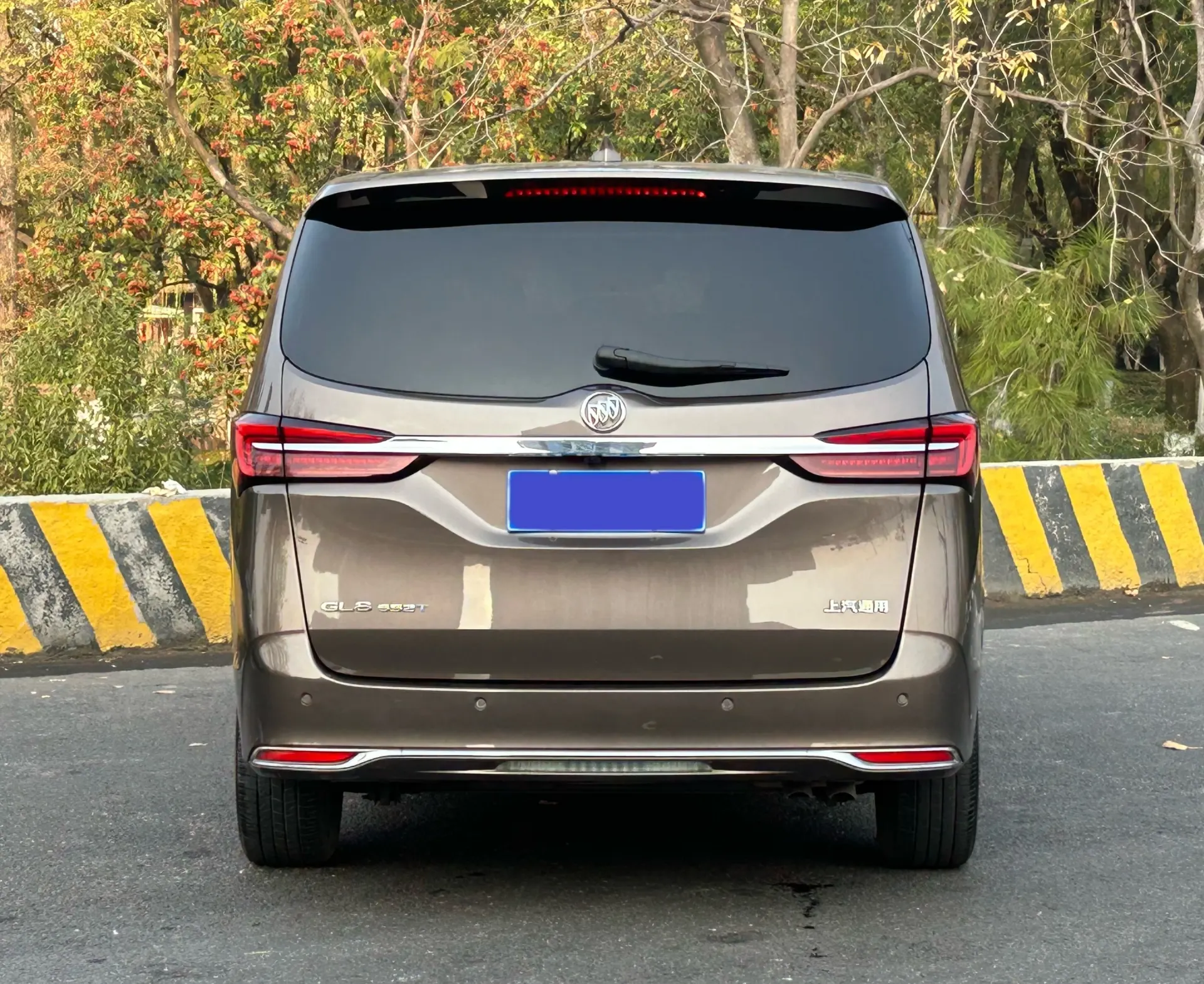 Buick GL8, 2023 6