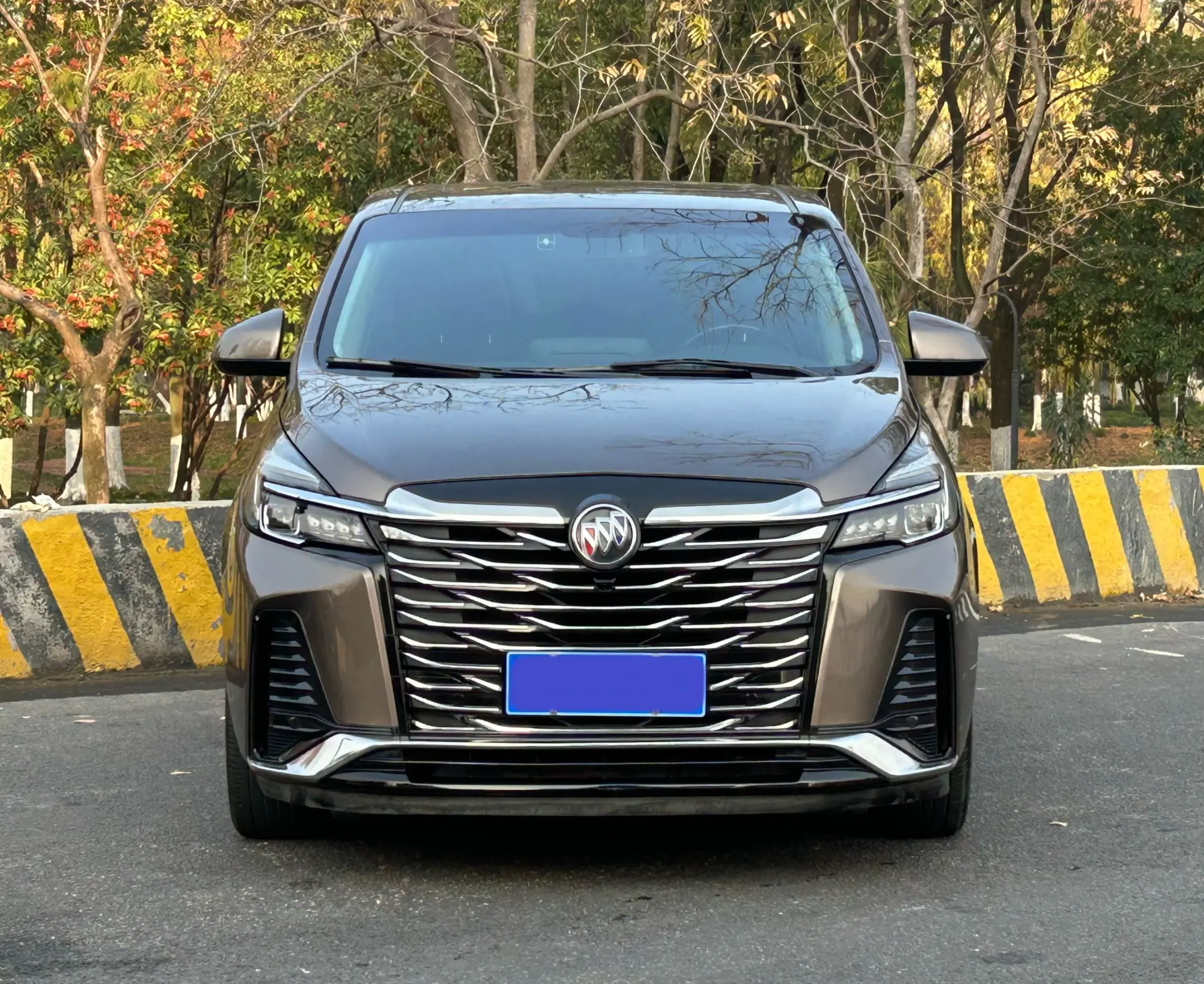 Buick GL8, 2023 3