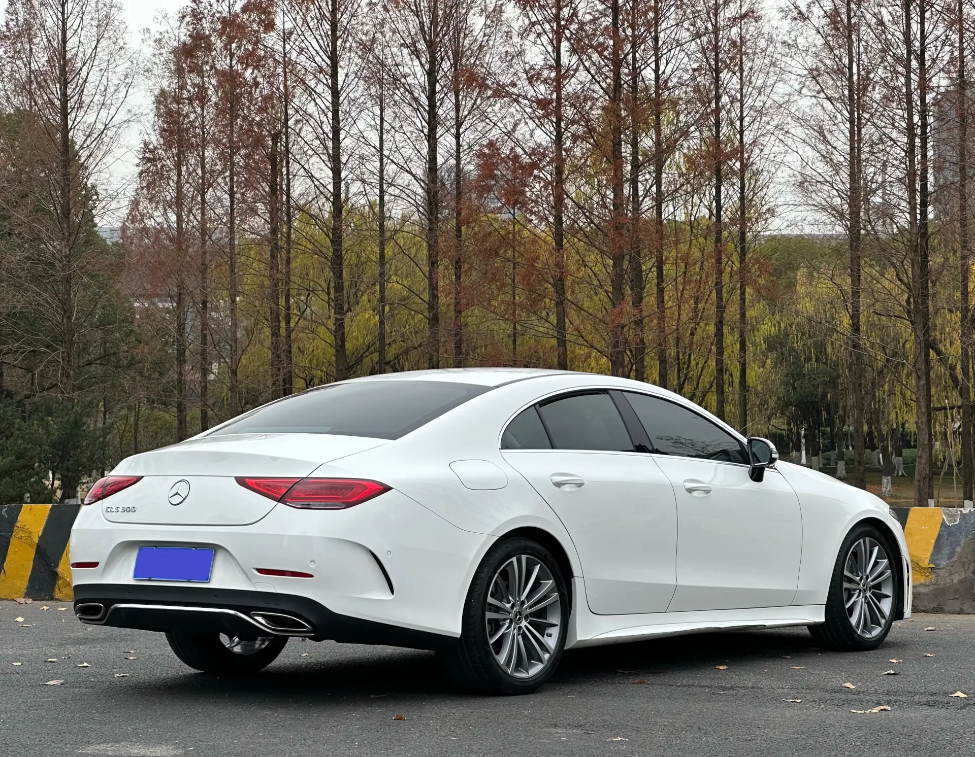 Mercedes-Benz CLS 300, 2022 4