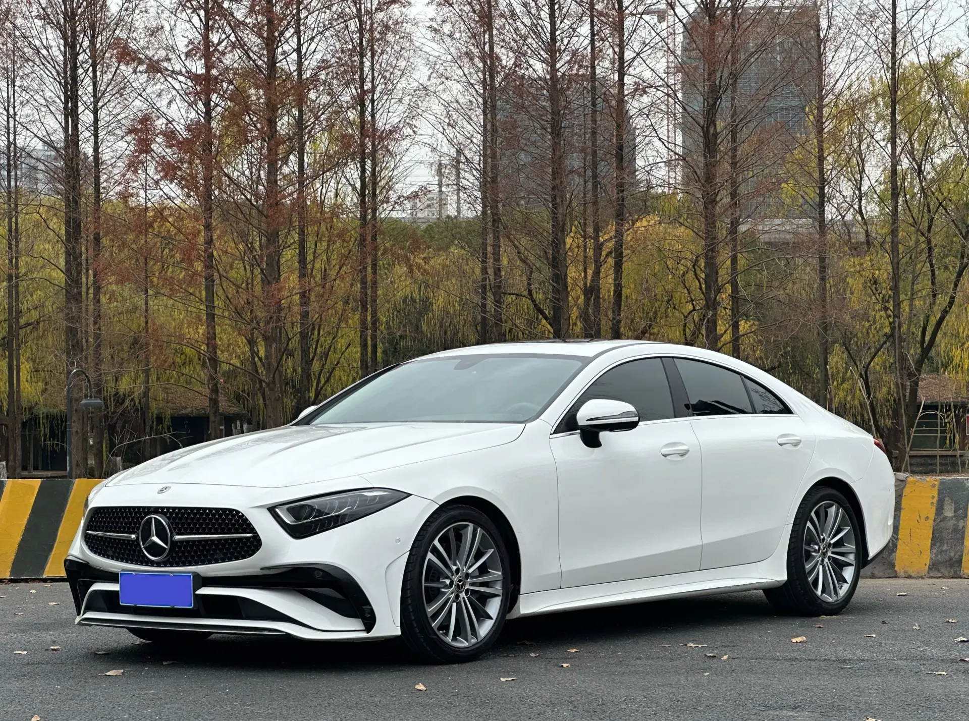 Mercedes-Benz CLS 300