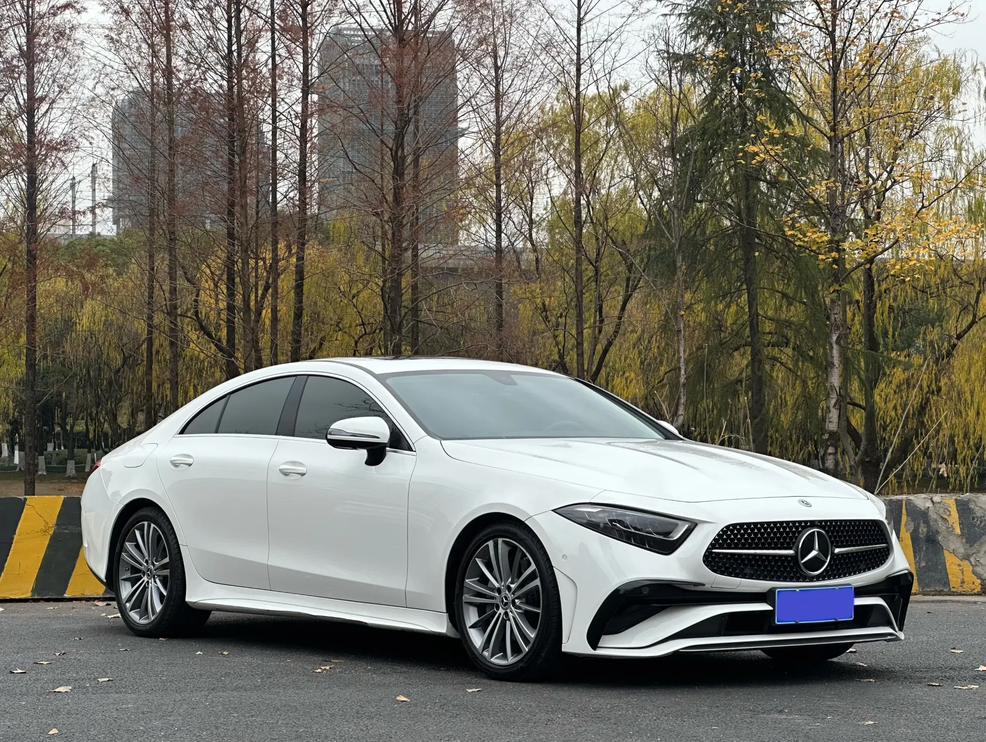 Mercedes-Benz CLS 300, 2022 2