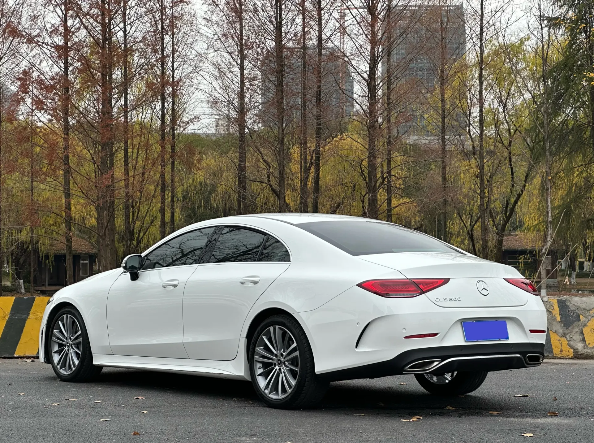 Mercedes-Benz CLS 300, 2022 6