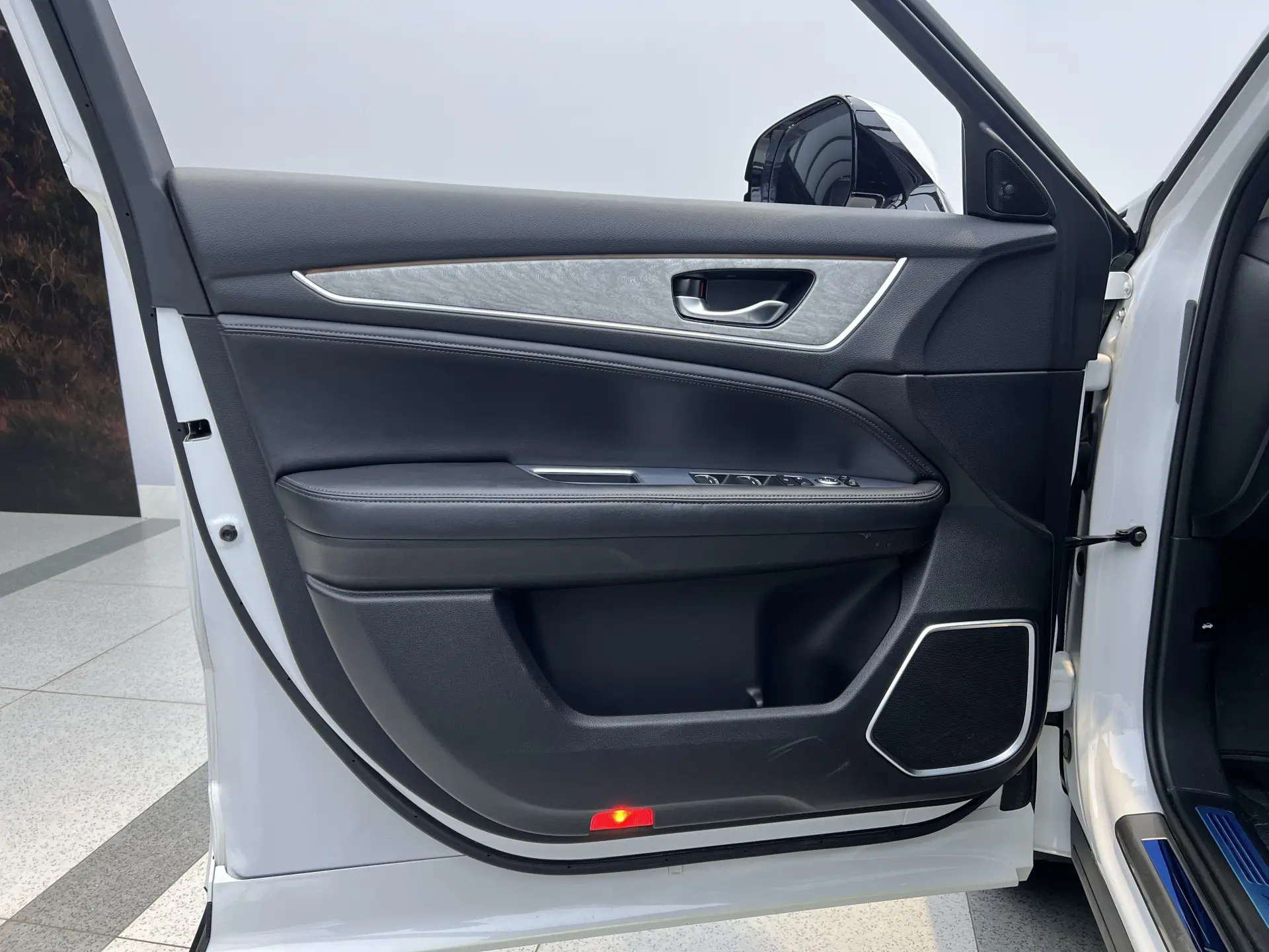 Honda Avancier, 2024 12