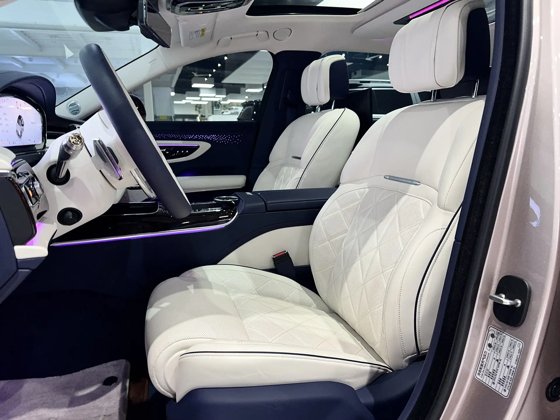 Hongqi Guoya, 2025 19