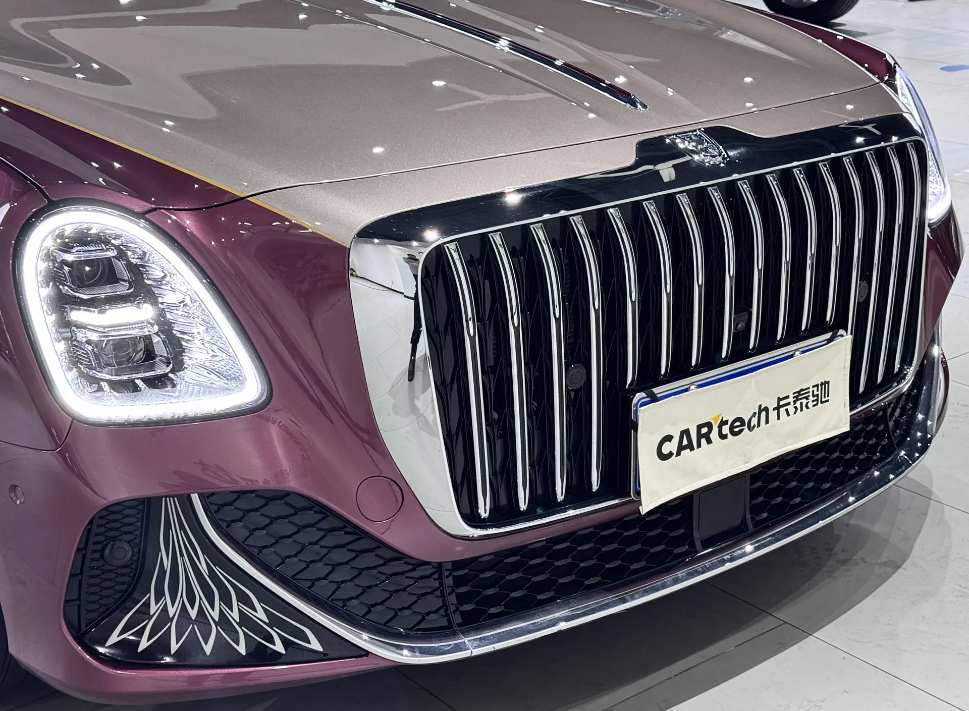 Hongqi Guoya, 2025 9