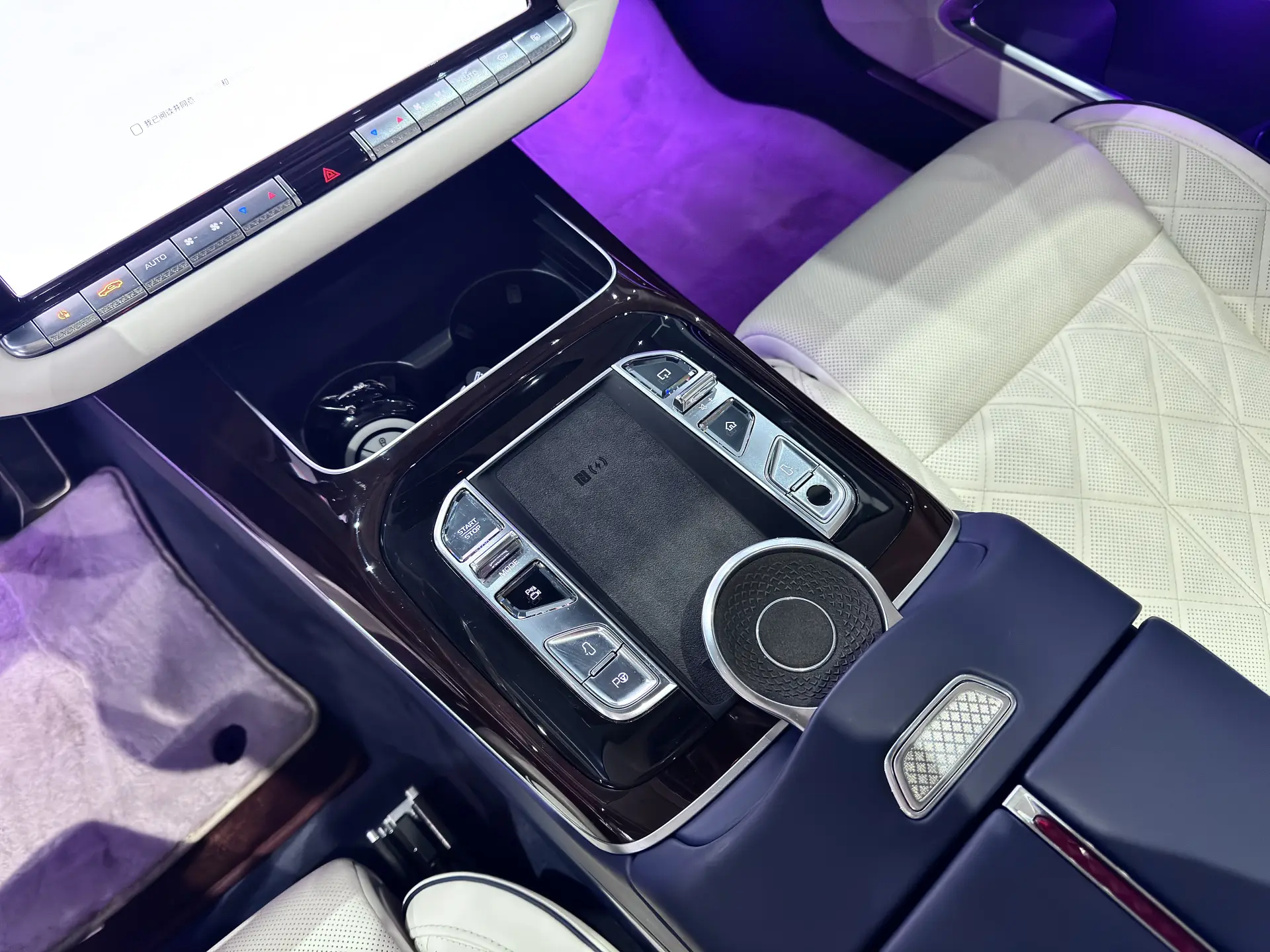 Hongqi Guoya, 2025 23