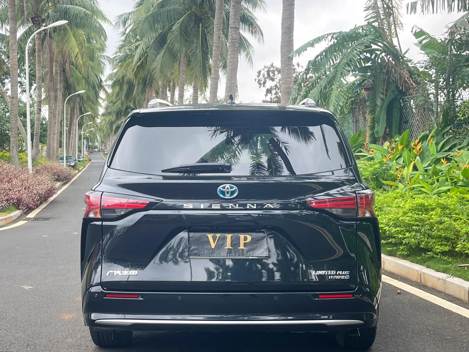 Toyota Sienna, 2022 все фото