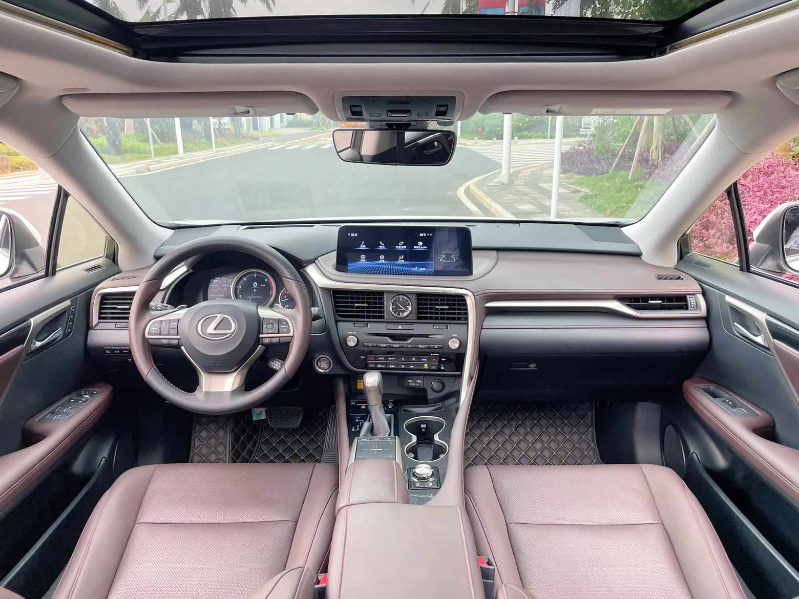 Lexus RX 202, 2022 8