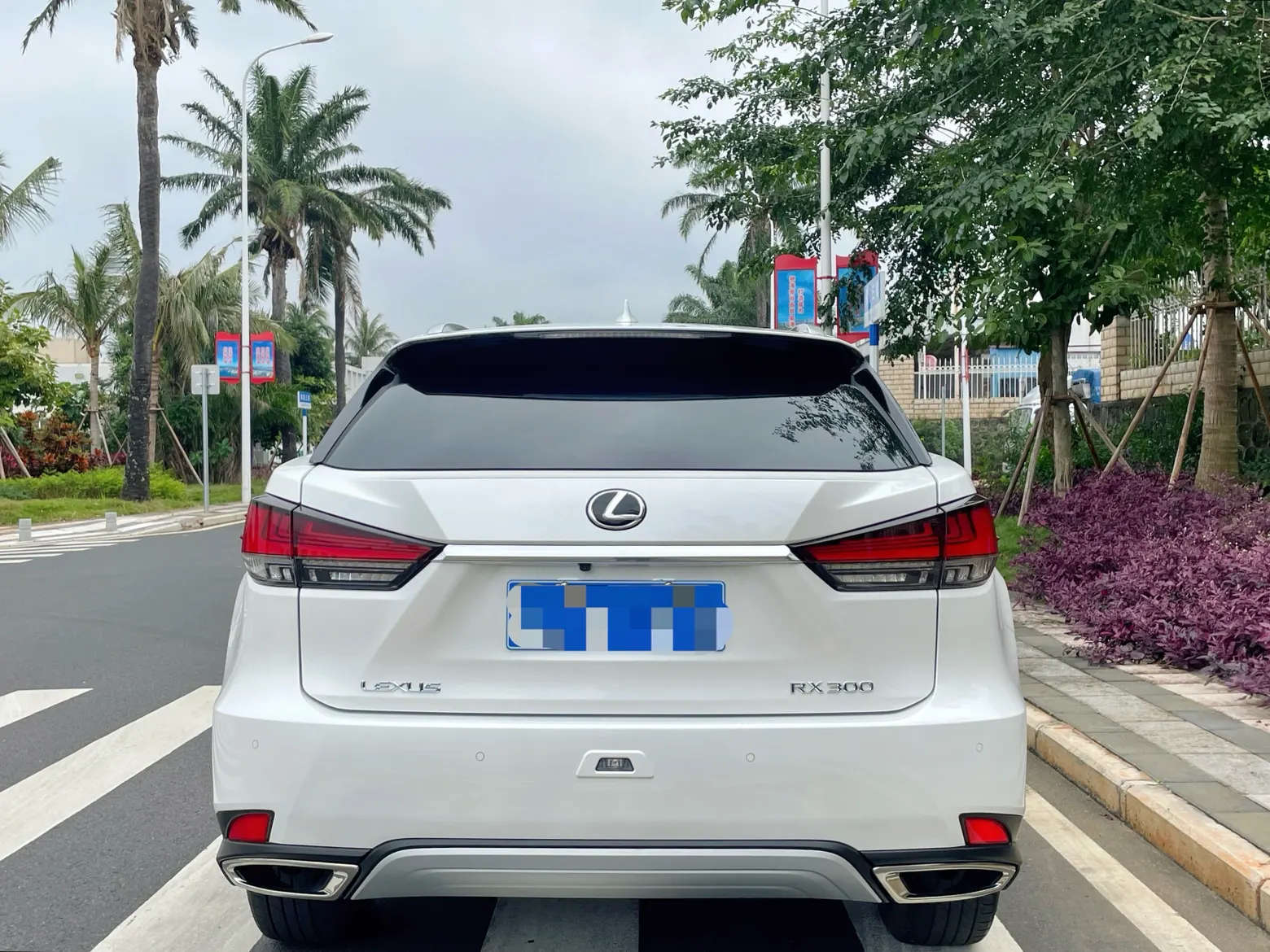 Lexus RX 202, 2022 все фото