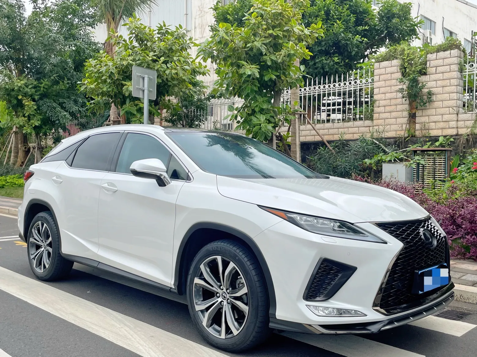 Lexus RX 202, 2022 2