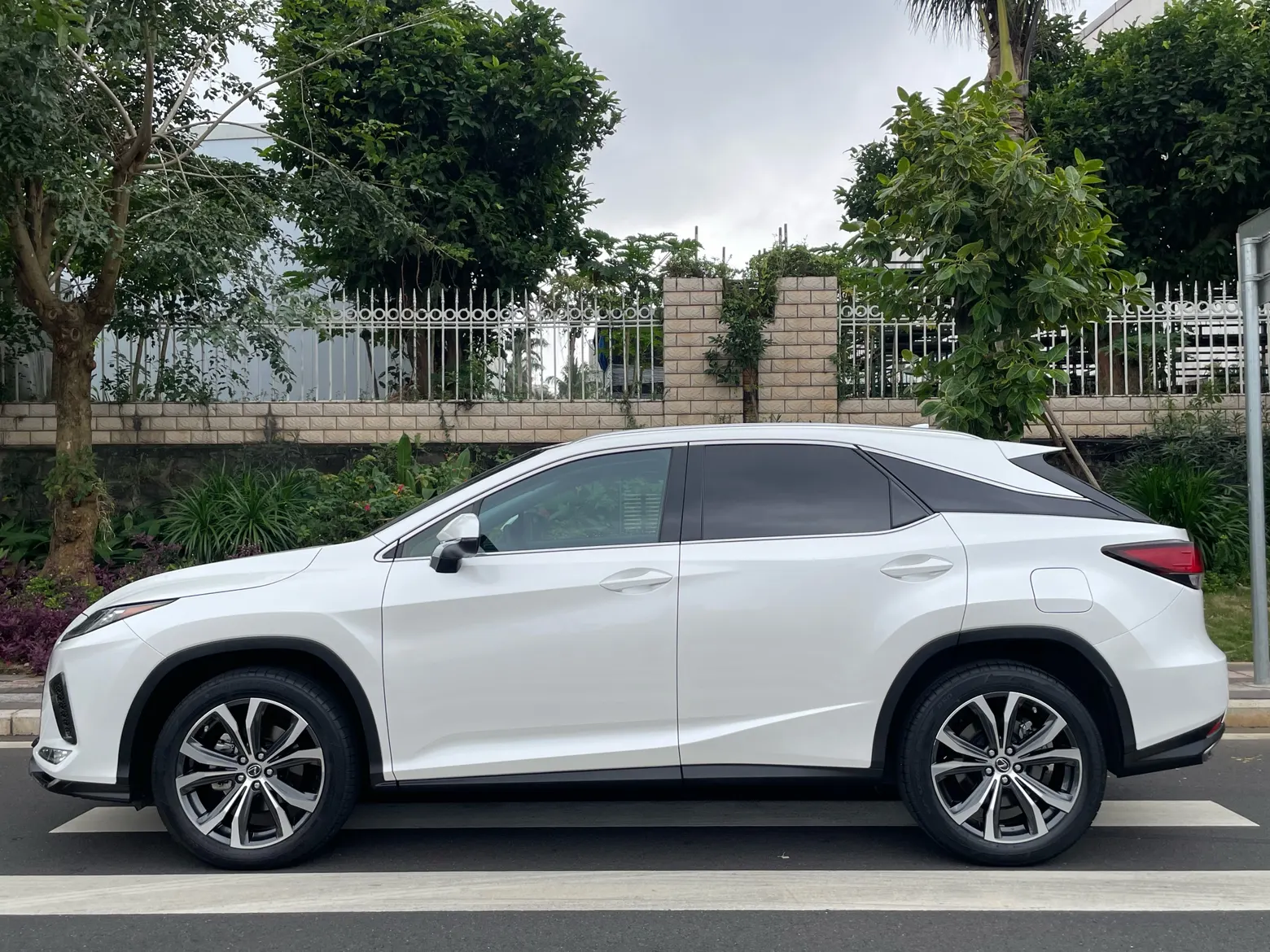 Lexus RX 202, 2022 7