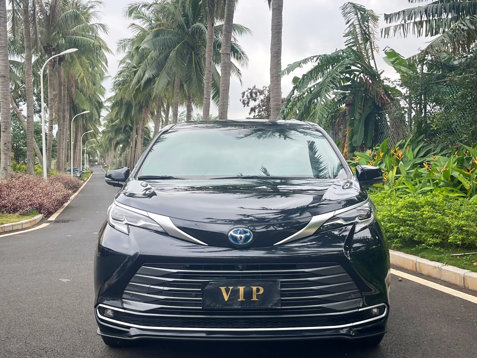 Toyota Sienna, 2022 3