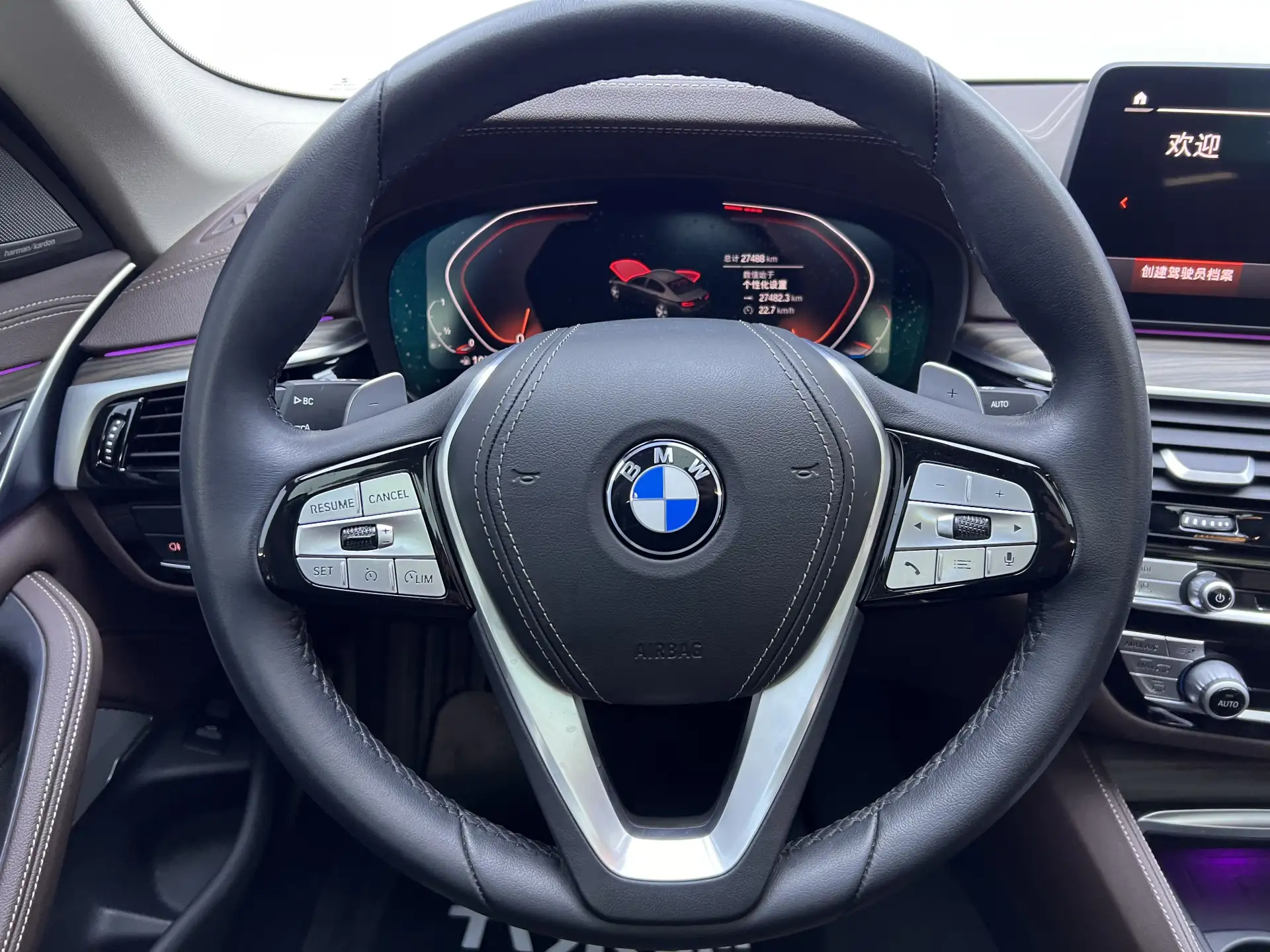 BMW 530Li, 2022 15
