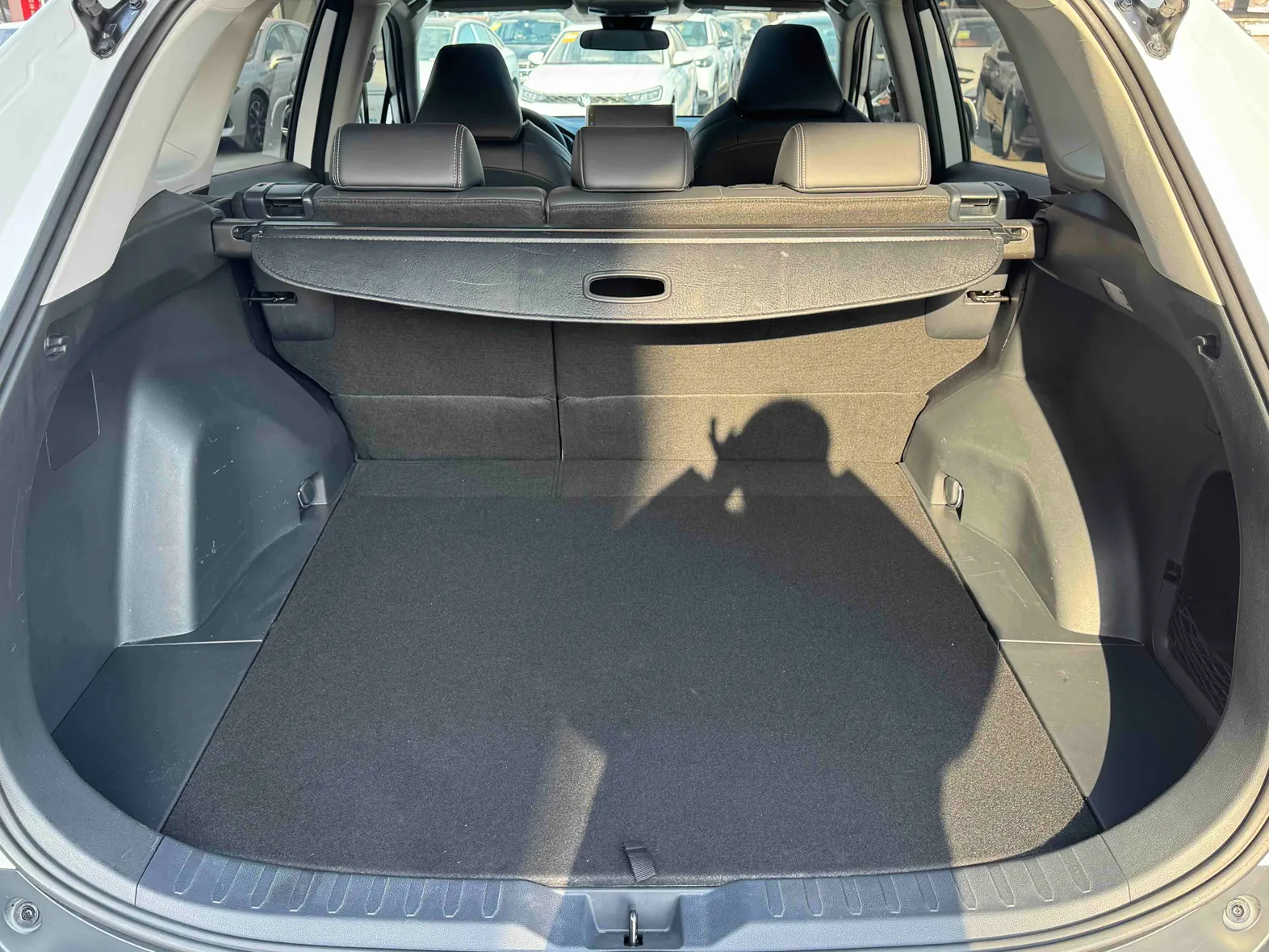 Toyota Wildlander, 2022 11