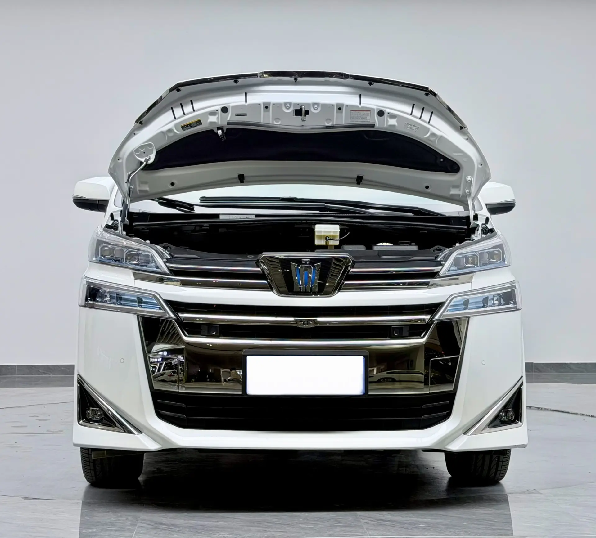 Toyota Alphard, 2022 9