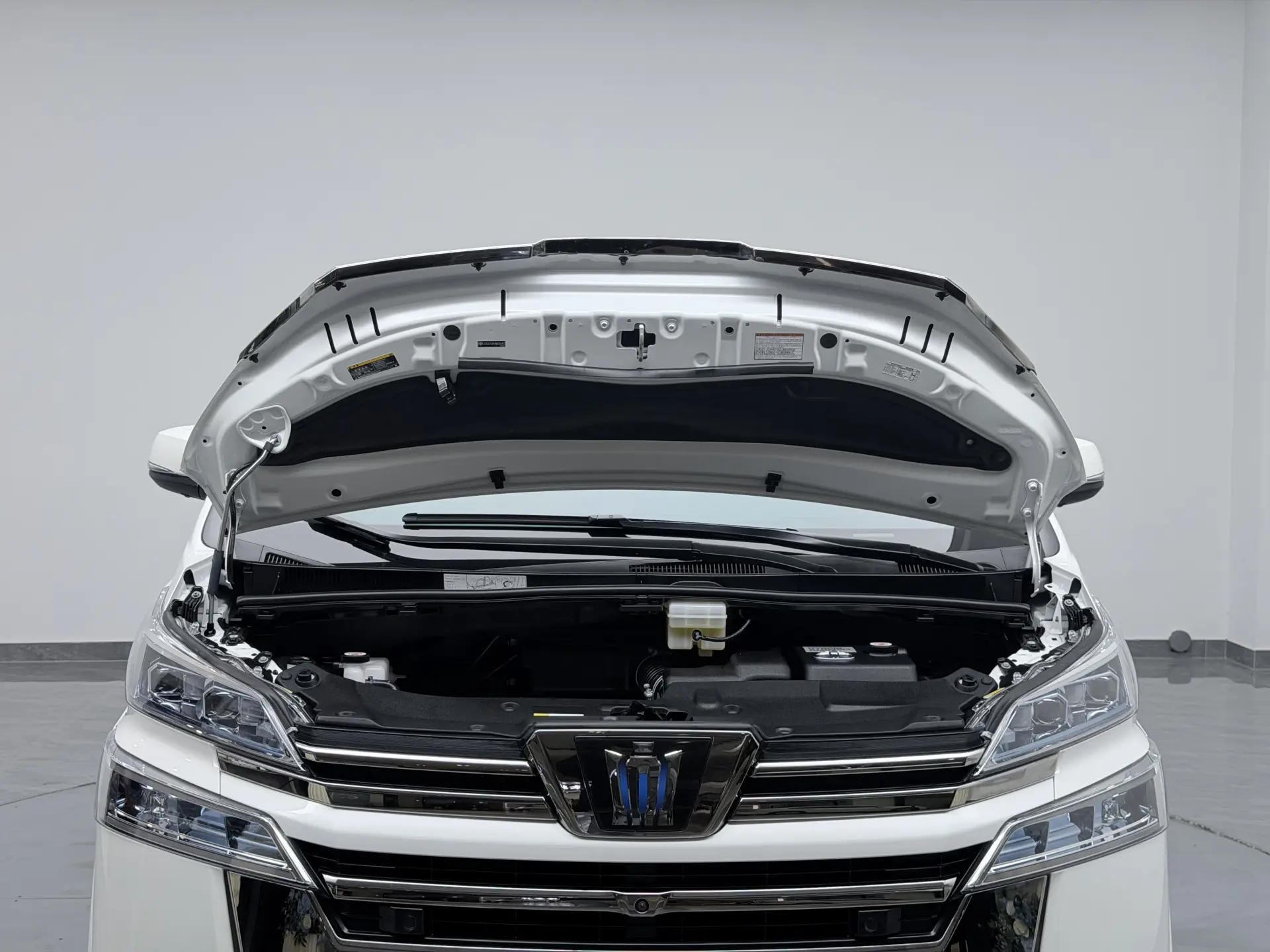 Toyota Alphard, 2022 10