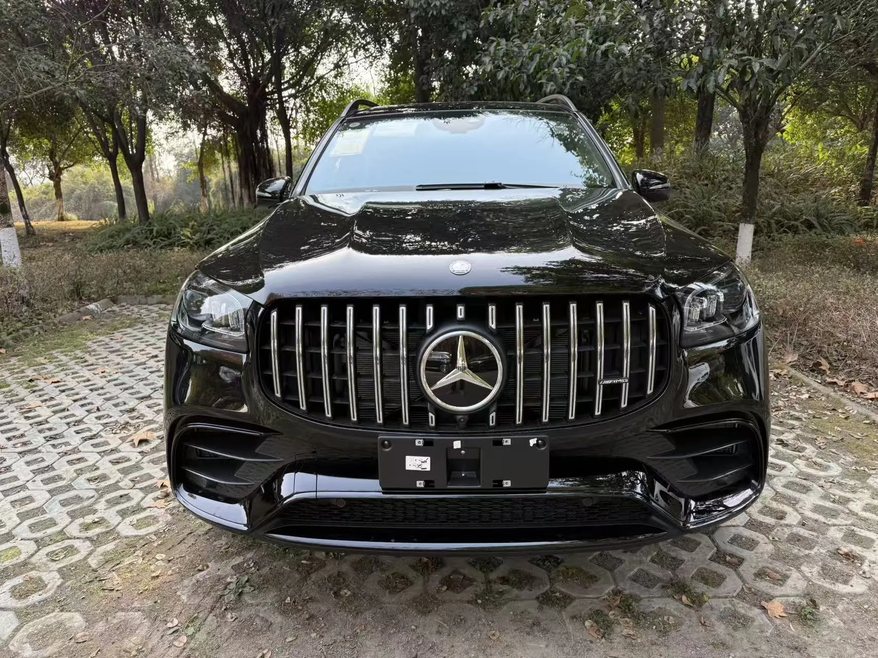 Mercedes-Benz GLS 63 4MATIC, 2024 3