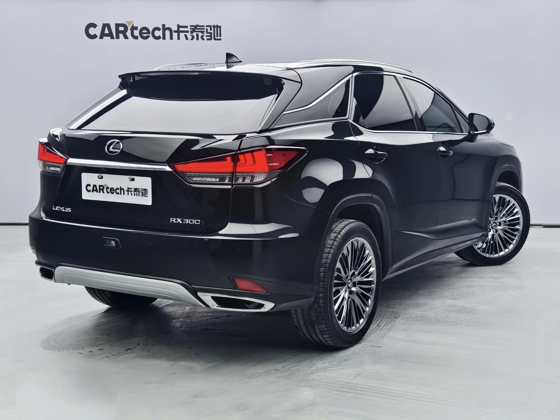 Lexus RX 202, 2022 3