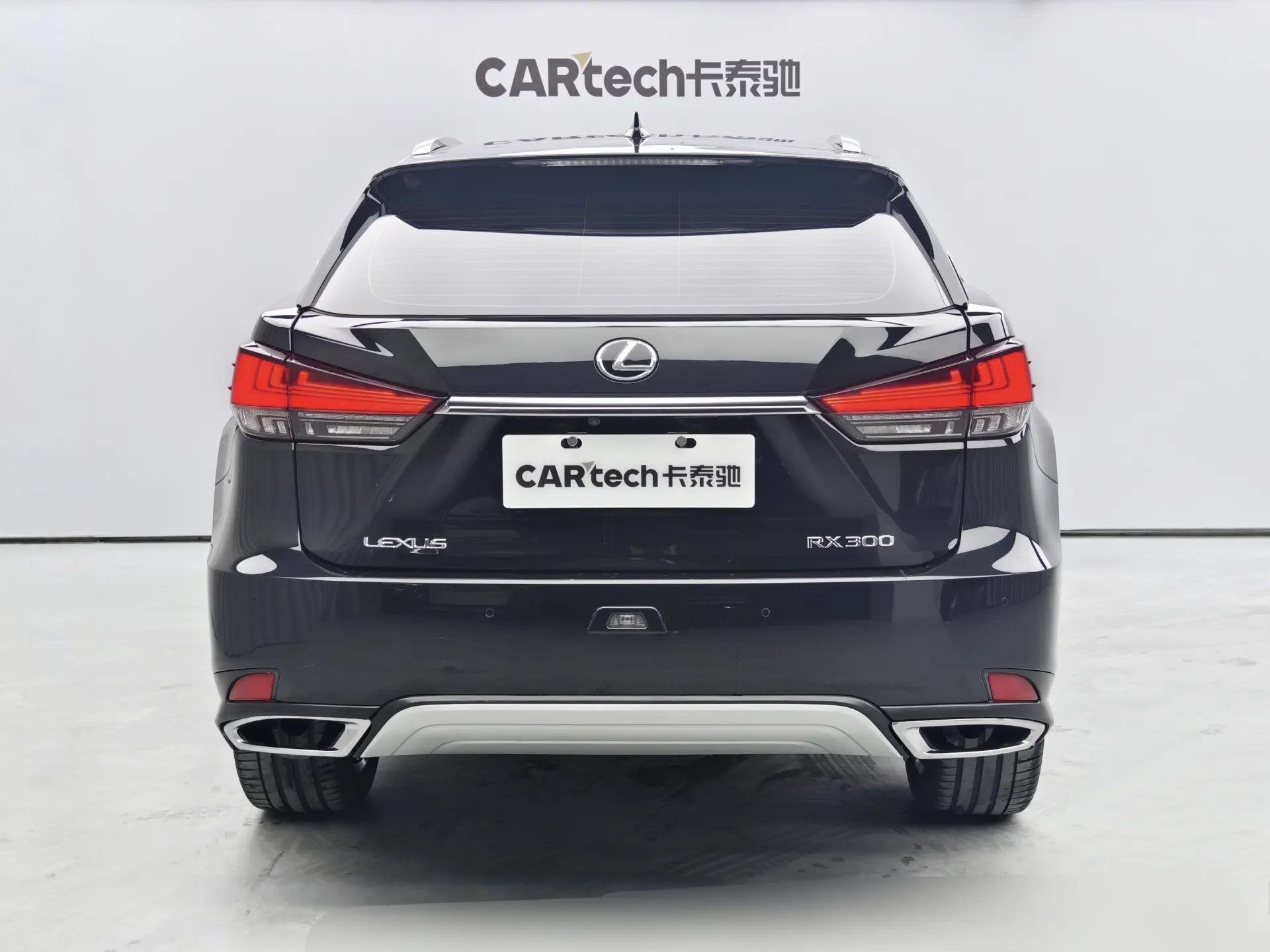 Lexus RX 202, 2022 4