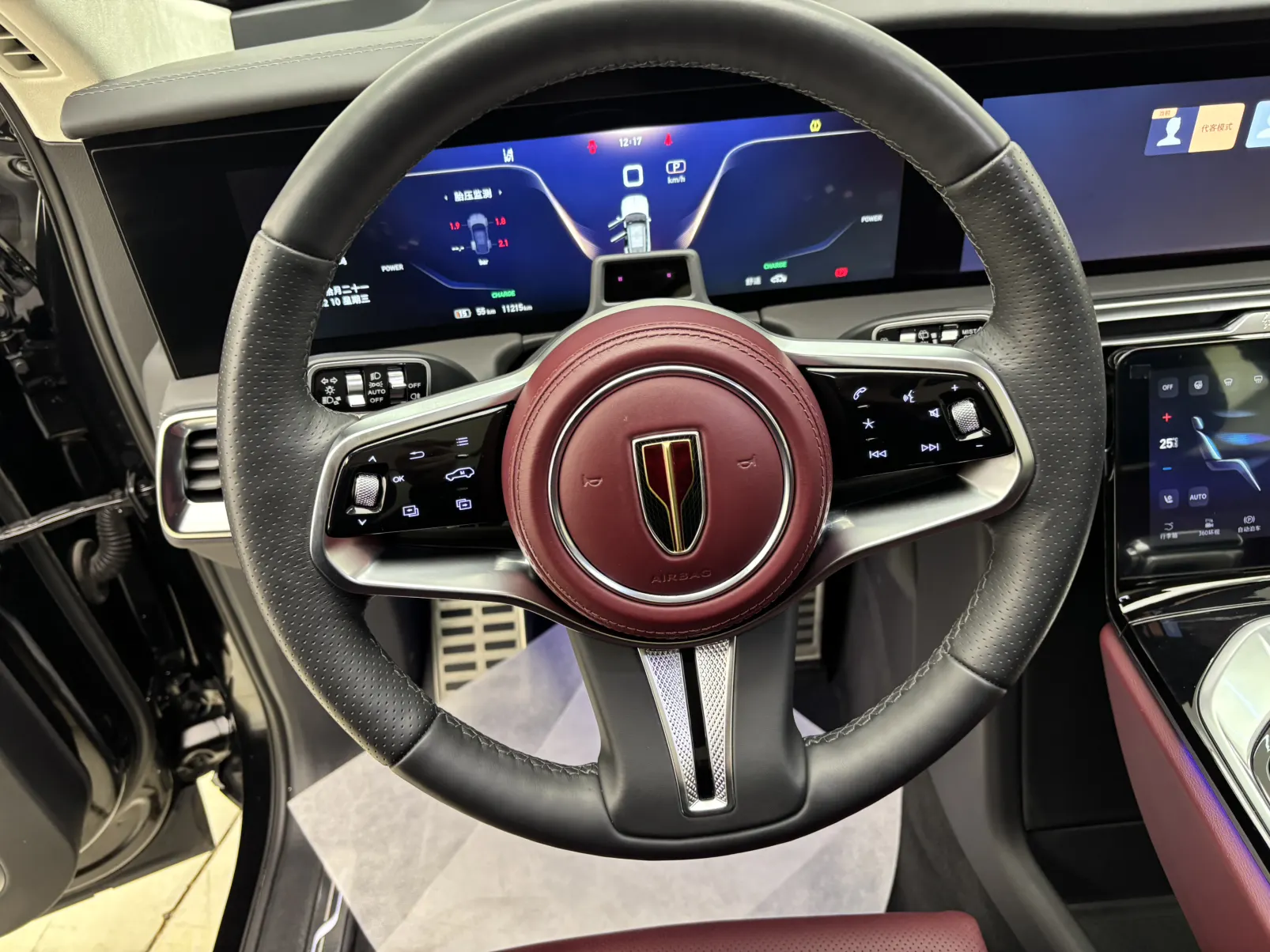 Hongqi E-HS9, 2023 15