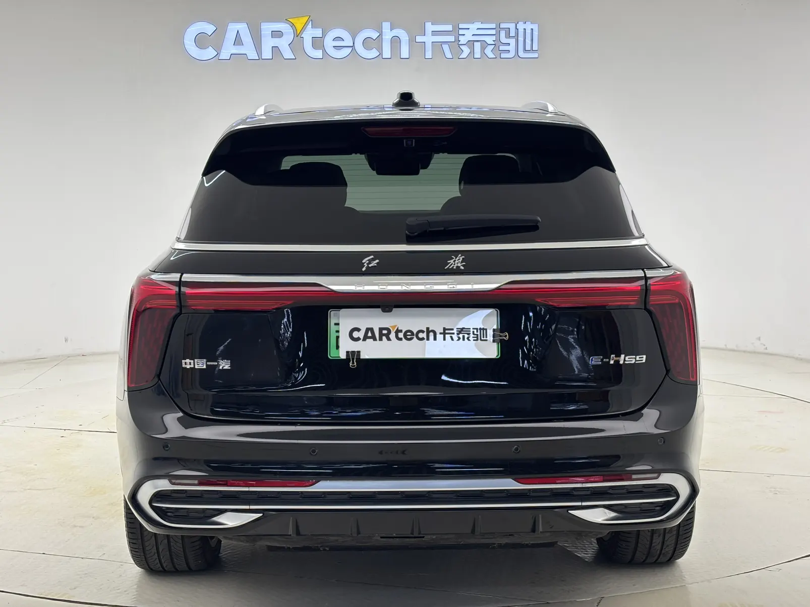 Hongqi E-HS9, 2023 7