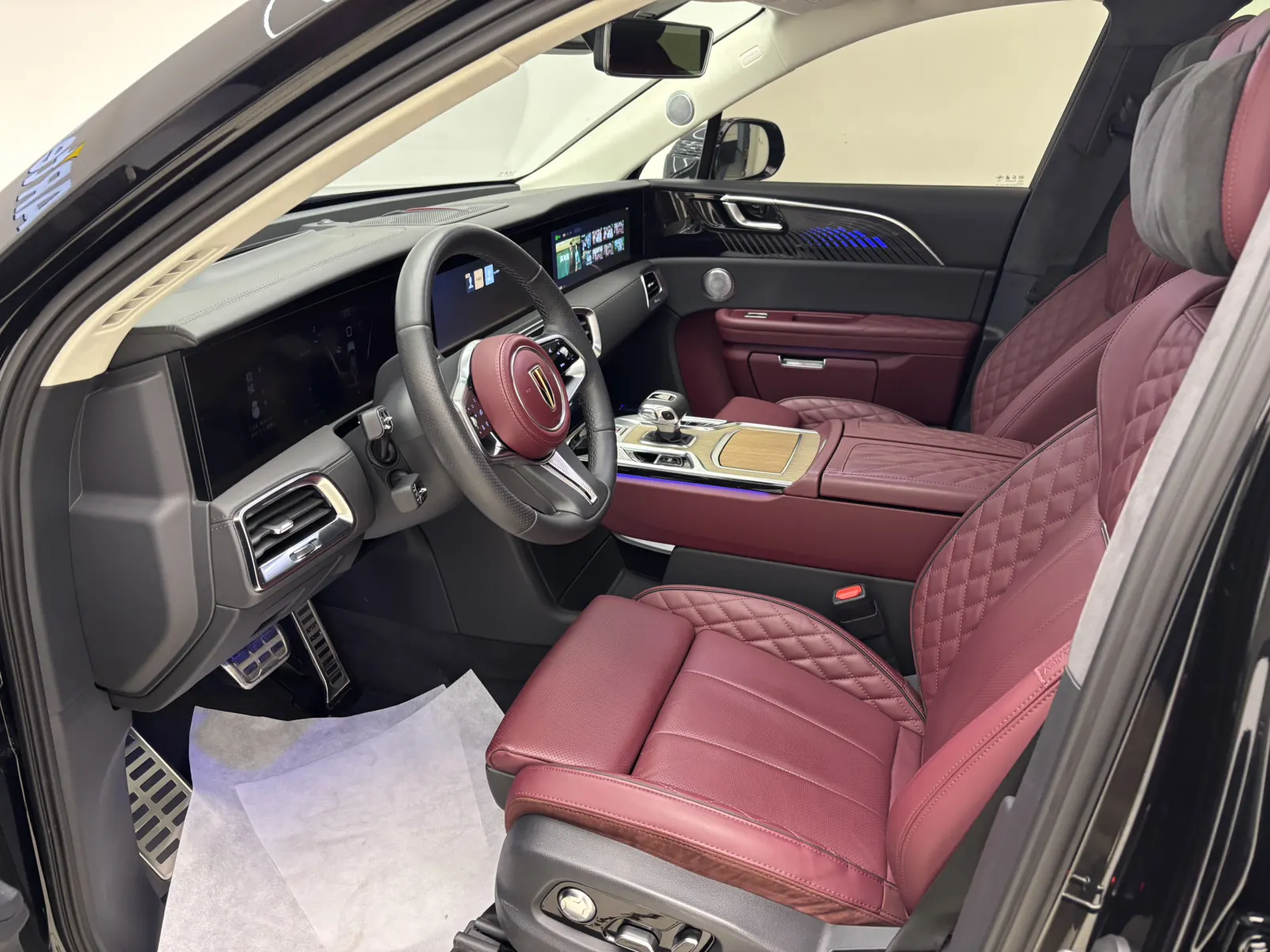 Hongqi E-HS9, 2023 10