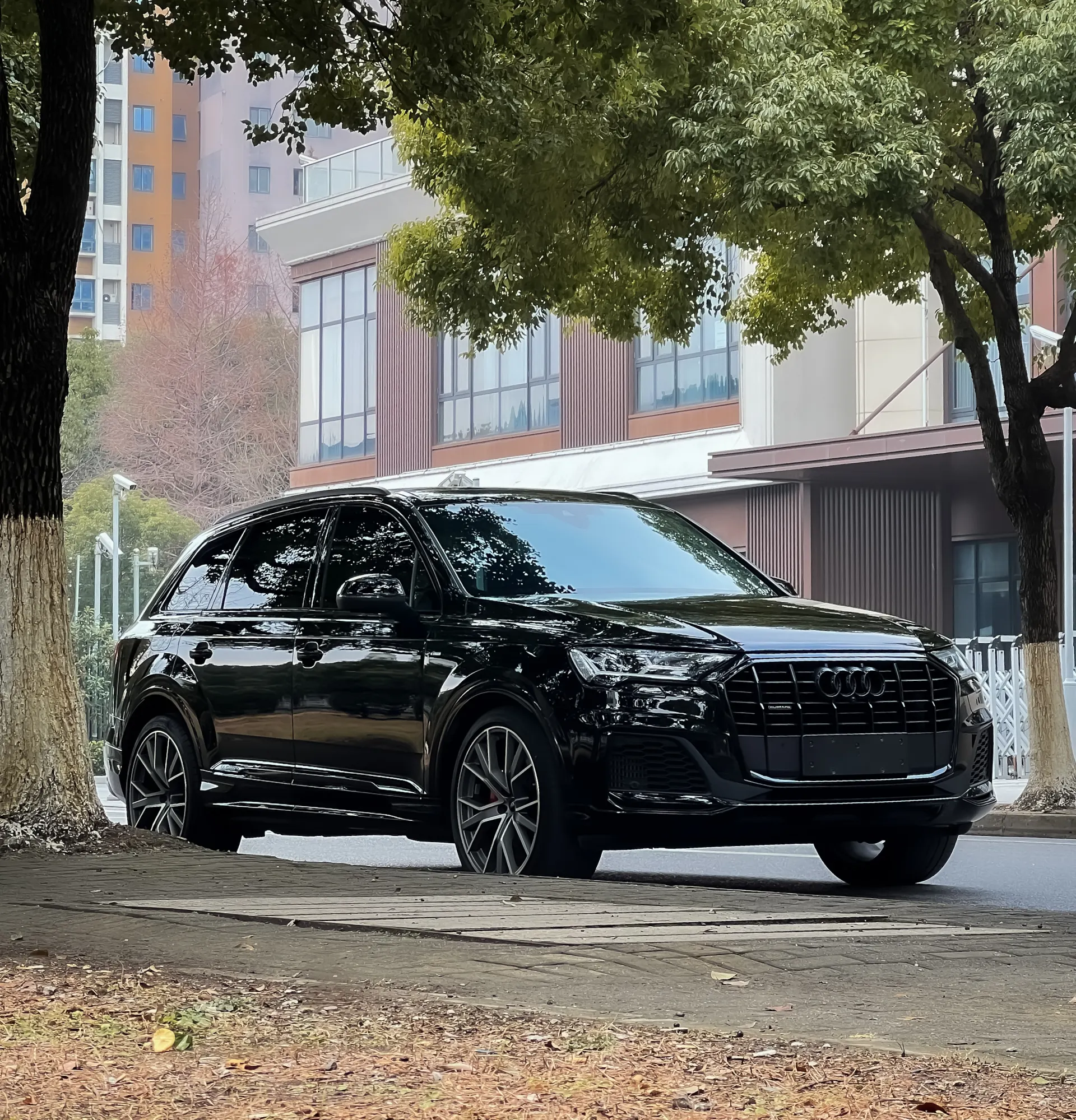 Audi Q7 55 TFSI, 2023 2