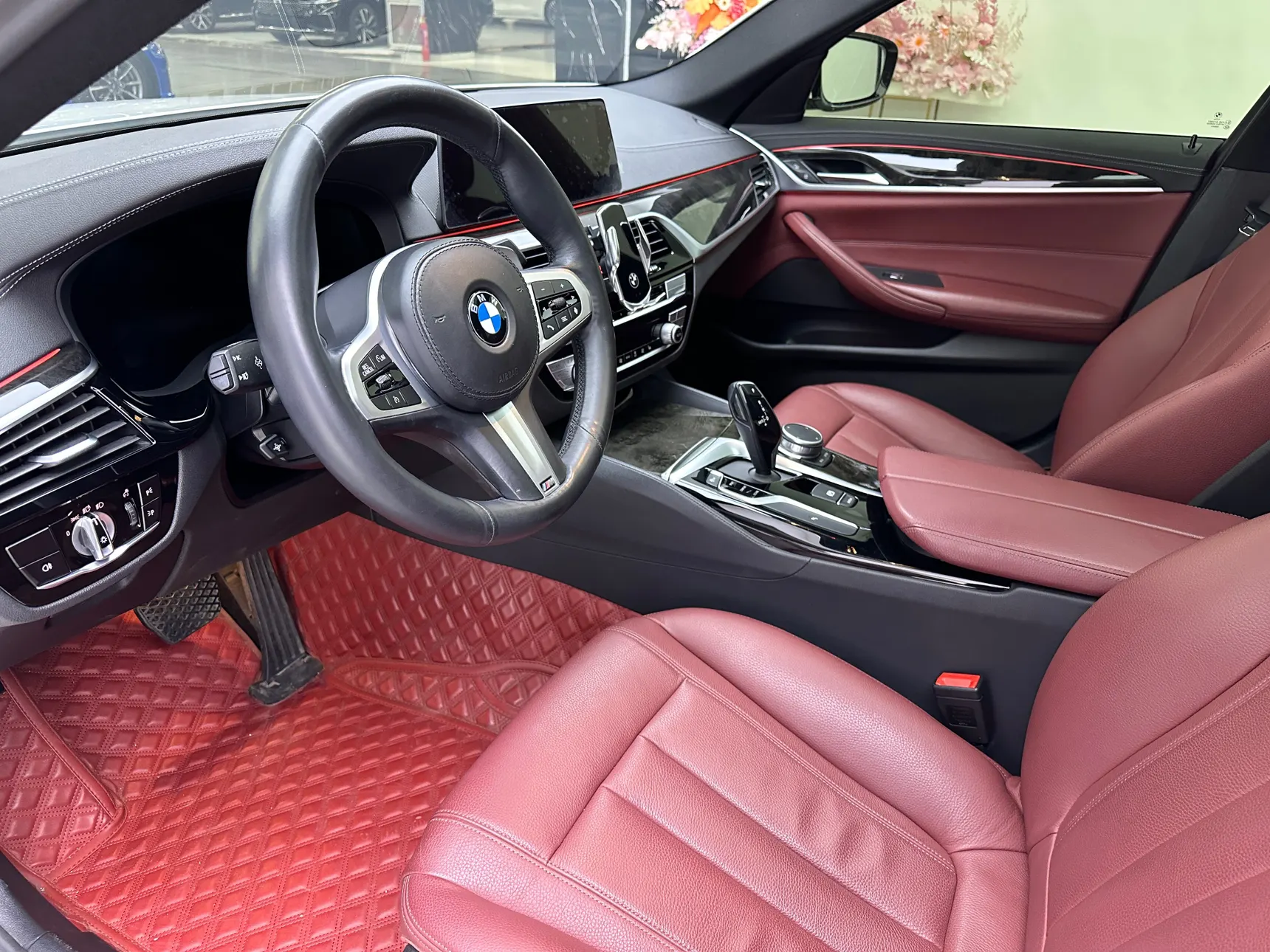 BMW 530Li, 2020 19