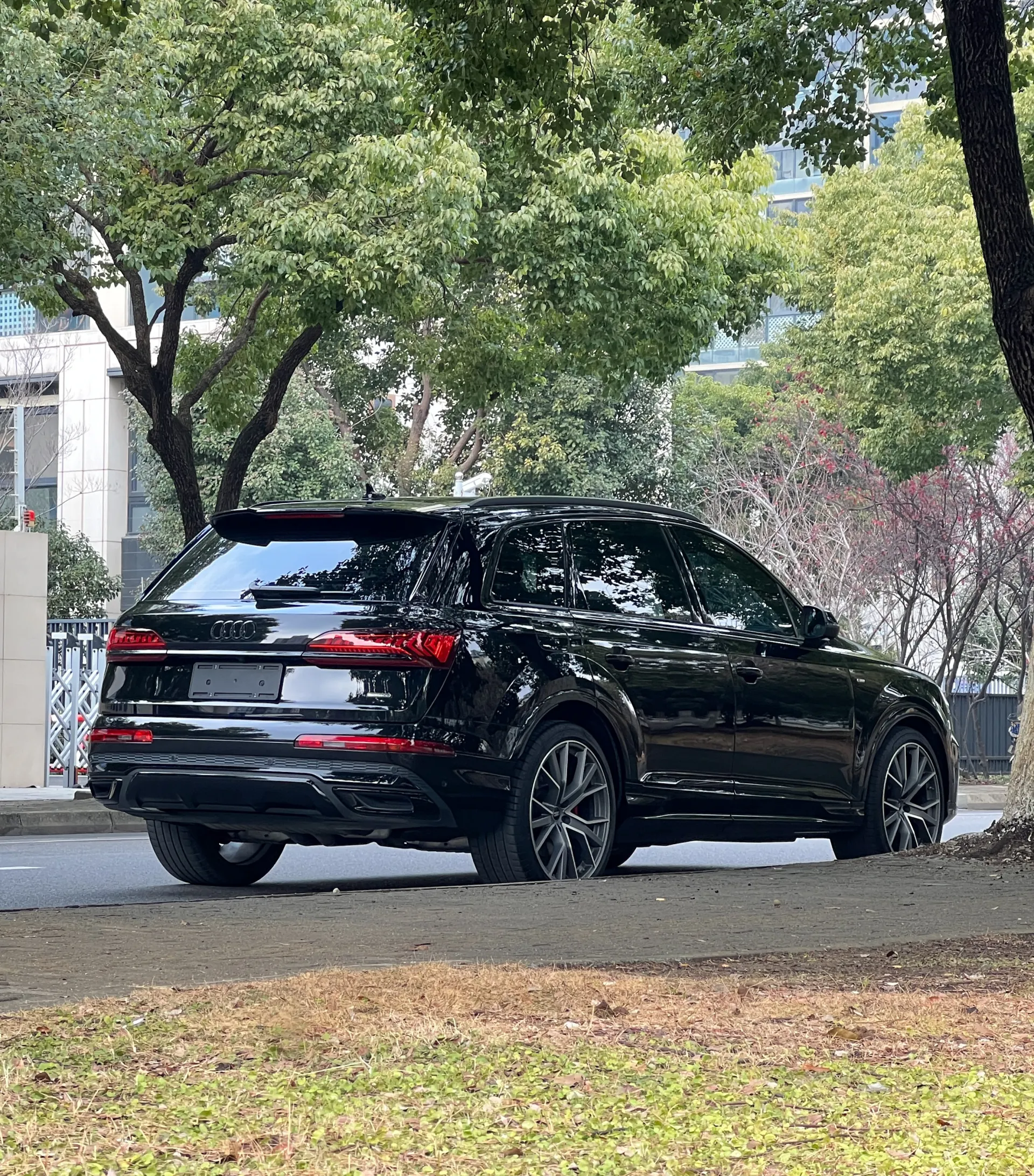 Audi Q7 55 TFSI, 2023 4