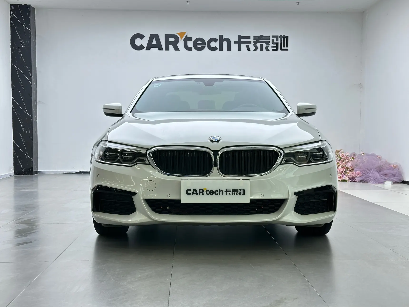 BMW 530Li, 2020 3