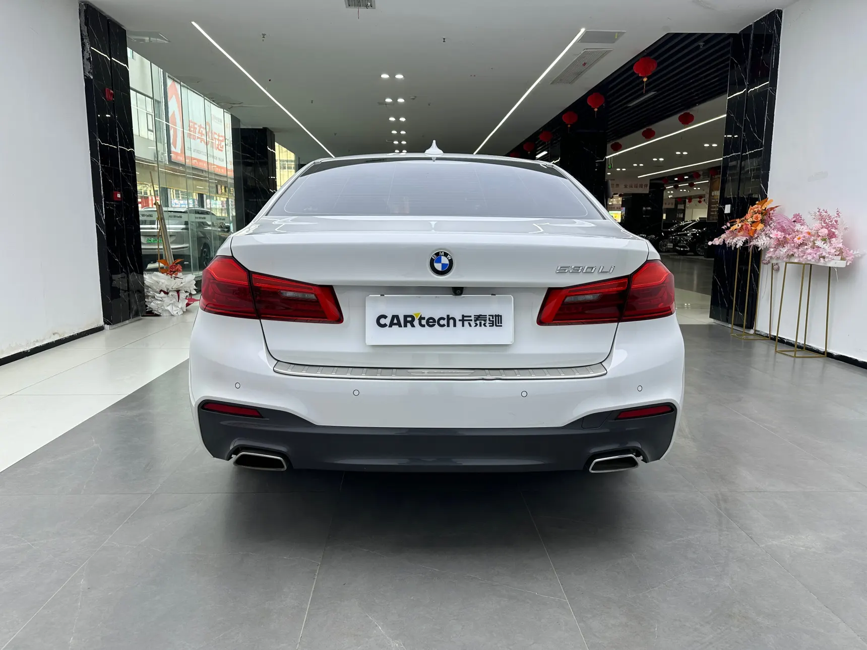BMW 530Li, 2020 6