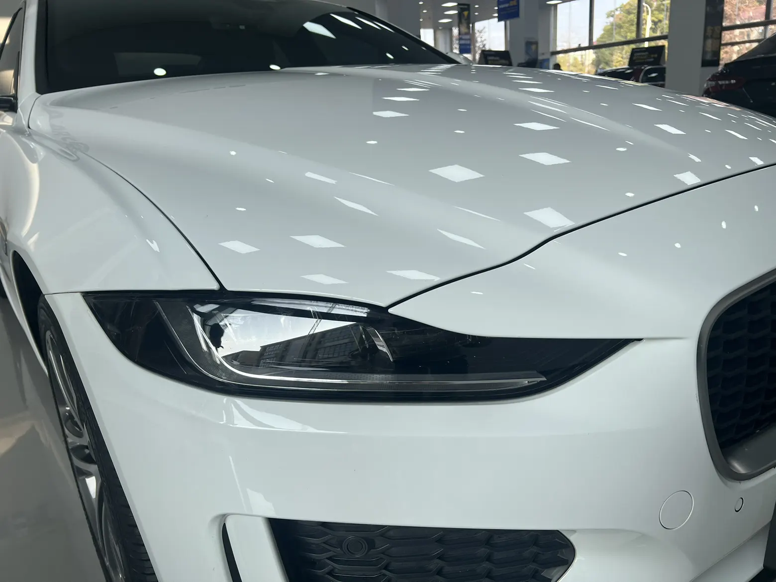 Jaguar XEL, 2023 все фото