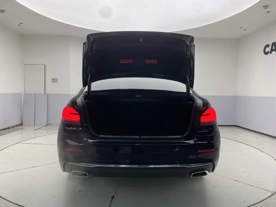 BMW 530Li, 2023 29