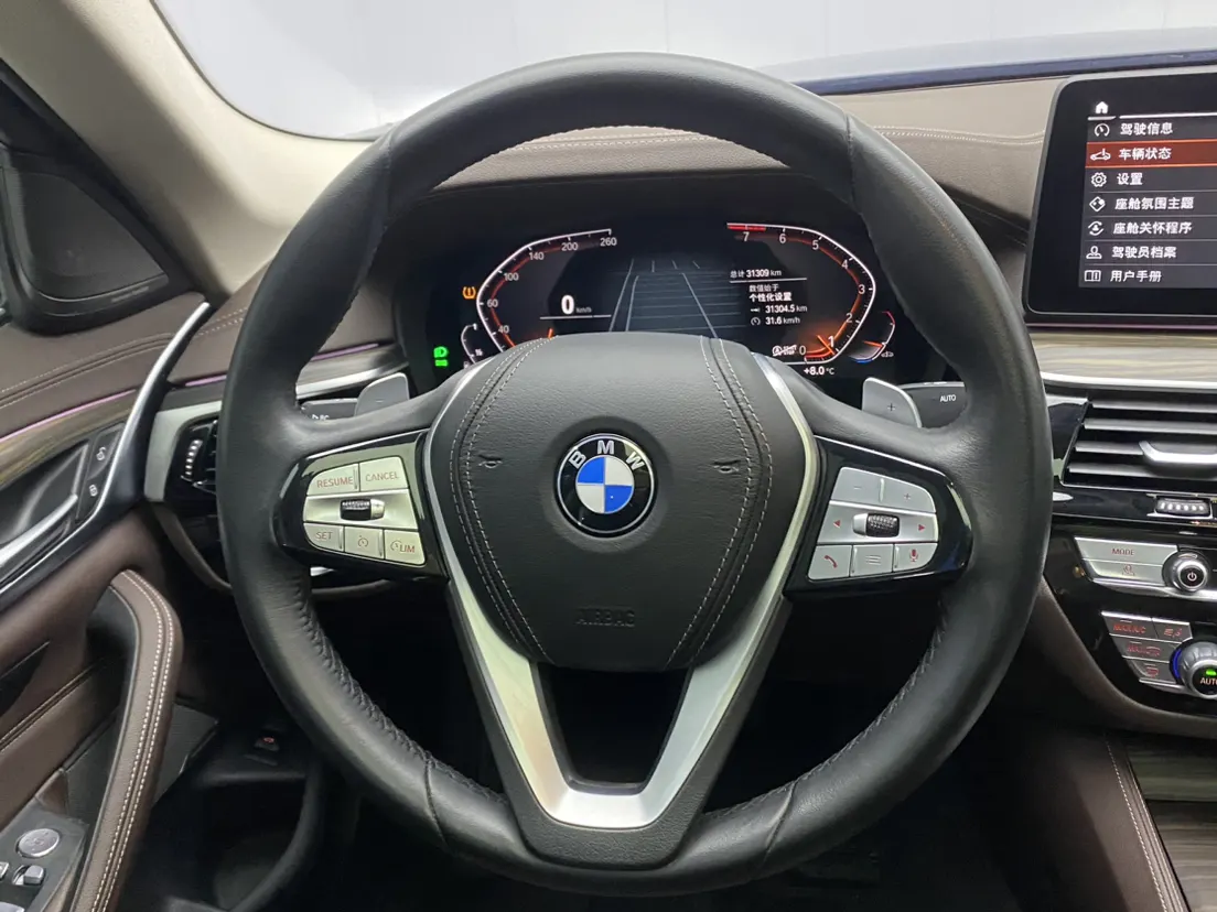 BMW 530Li, 2023 14