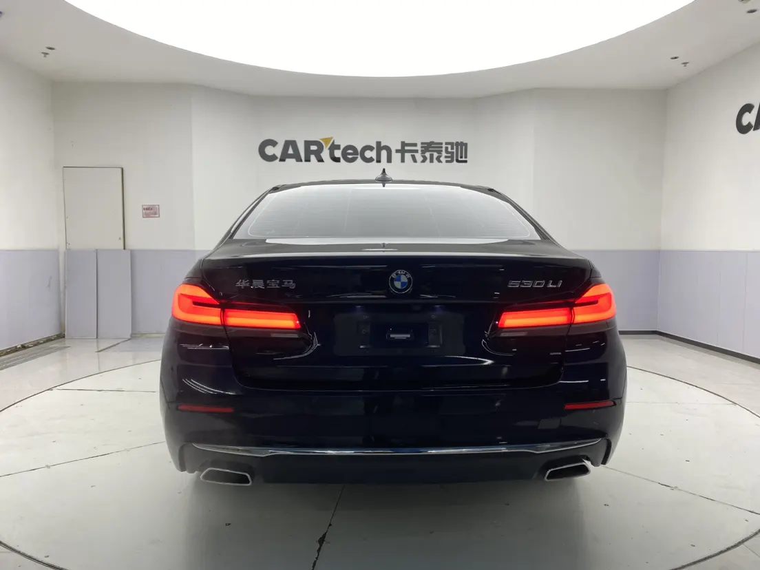 BMW 530Li, 2023 6
