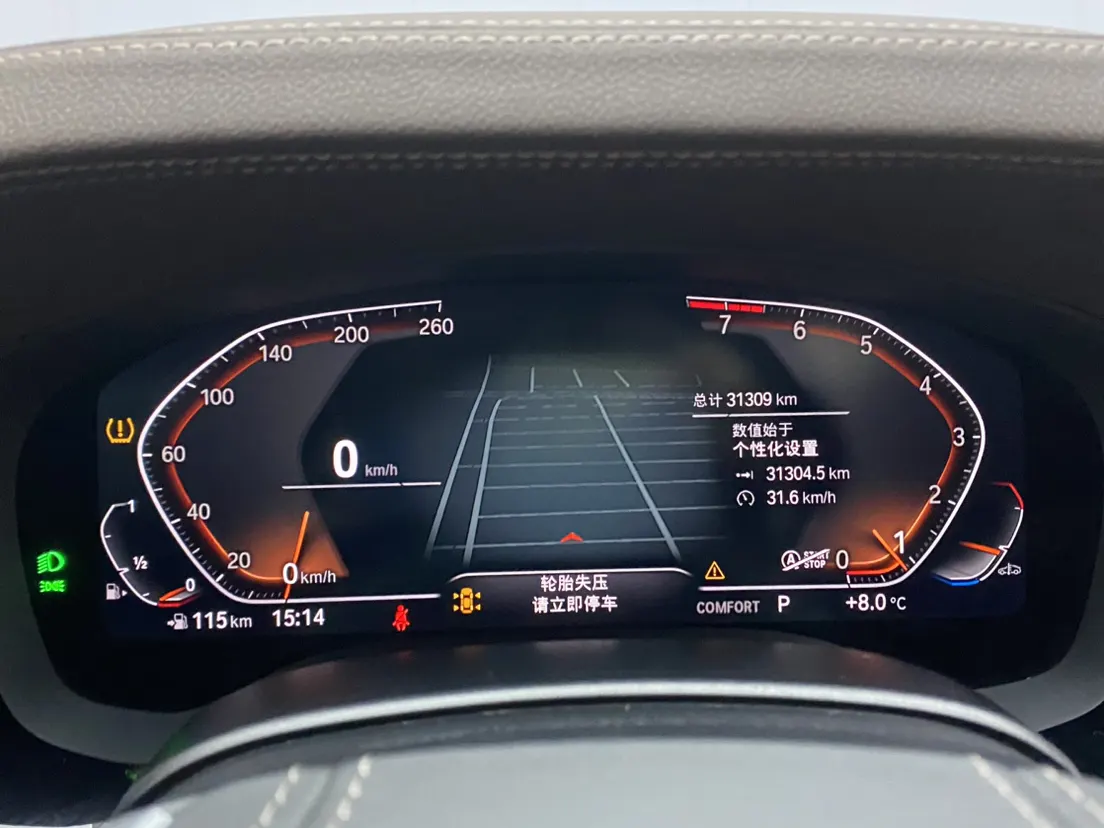 BMW 530Li, 2023 15