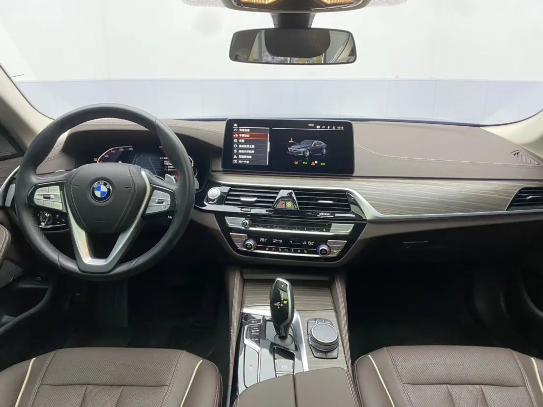 BMW 530Li, 2023 13